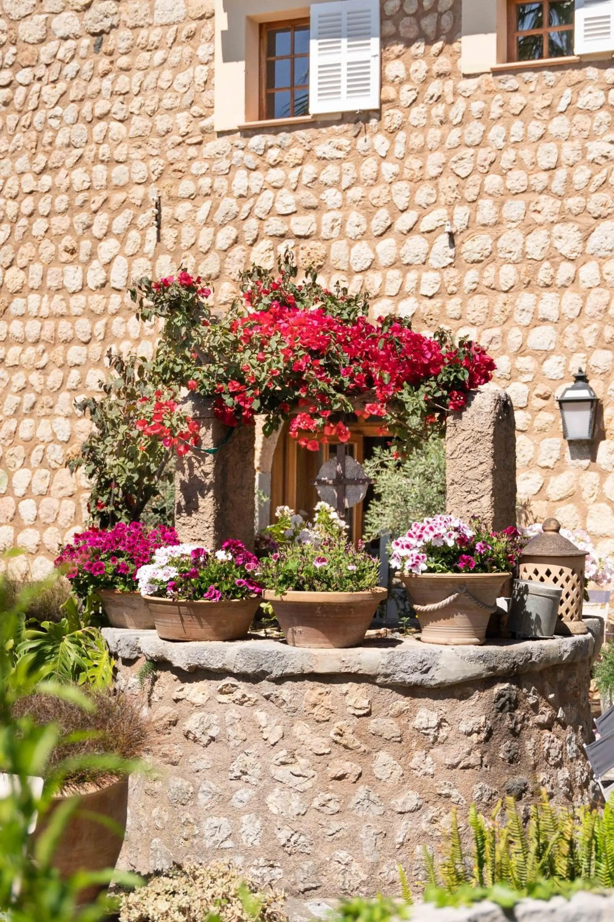 Garden in Finca Ca'n Quatre