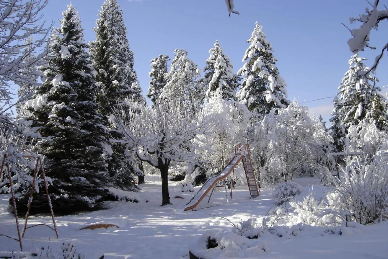 Garden in Hôtel Restaurant Pavillon Carina