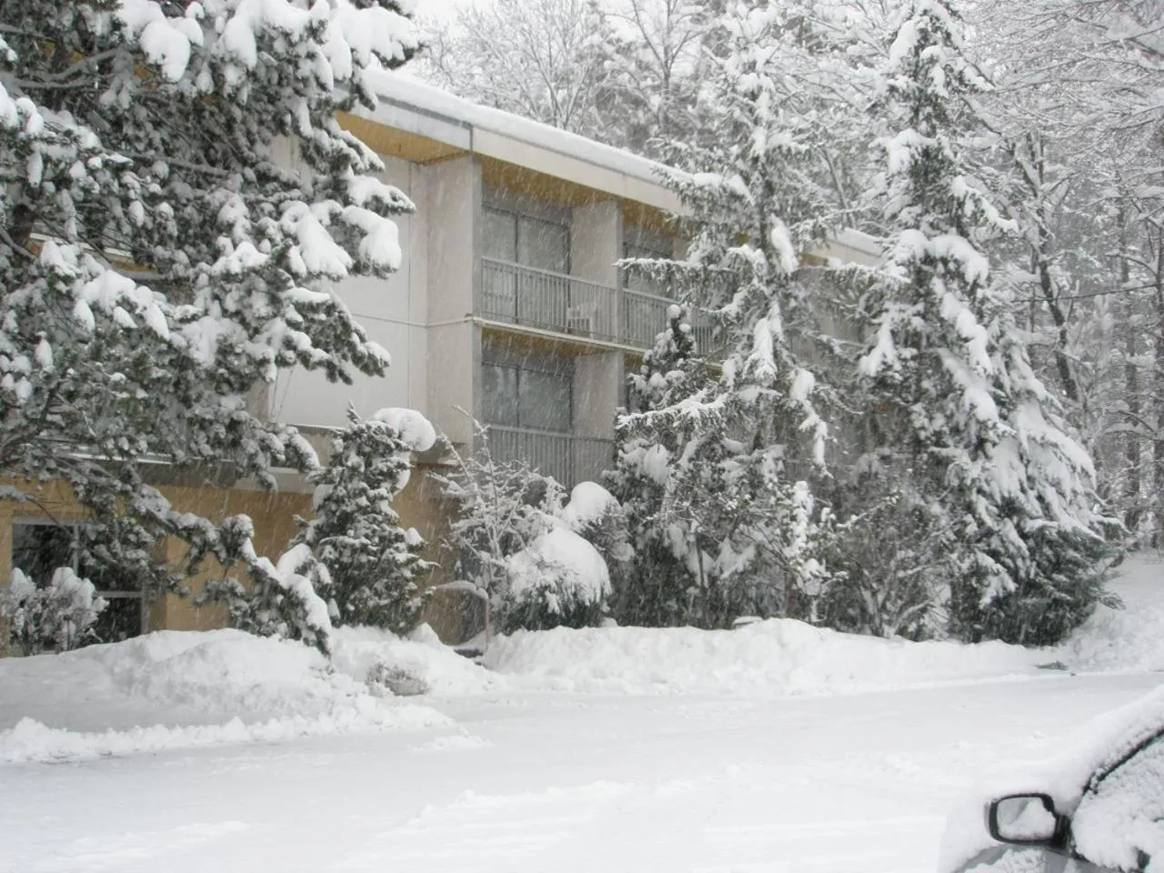 Balcony/Terrace in Hôtel Restaurant Pavillon Carina