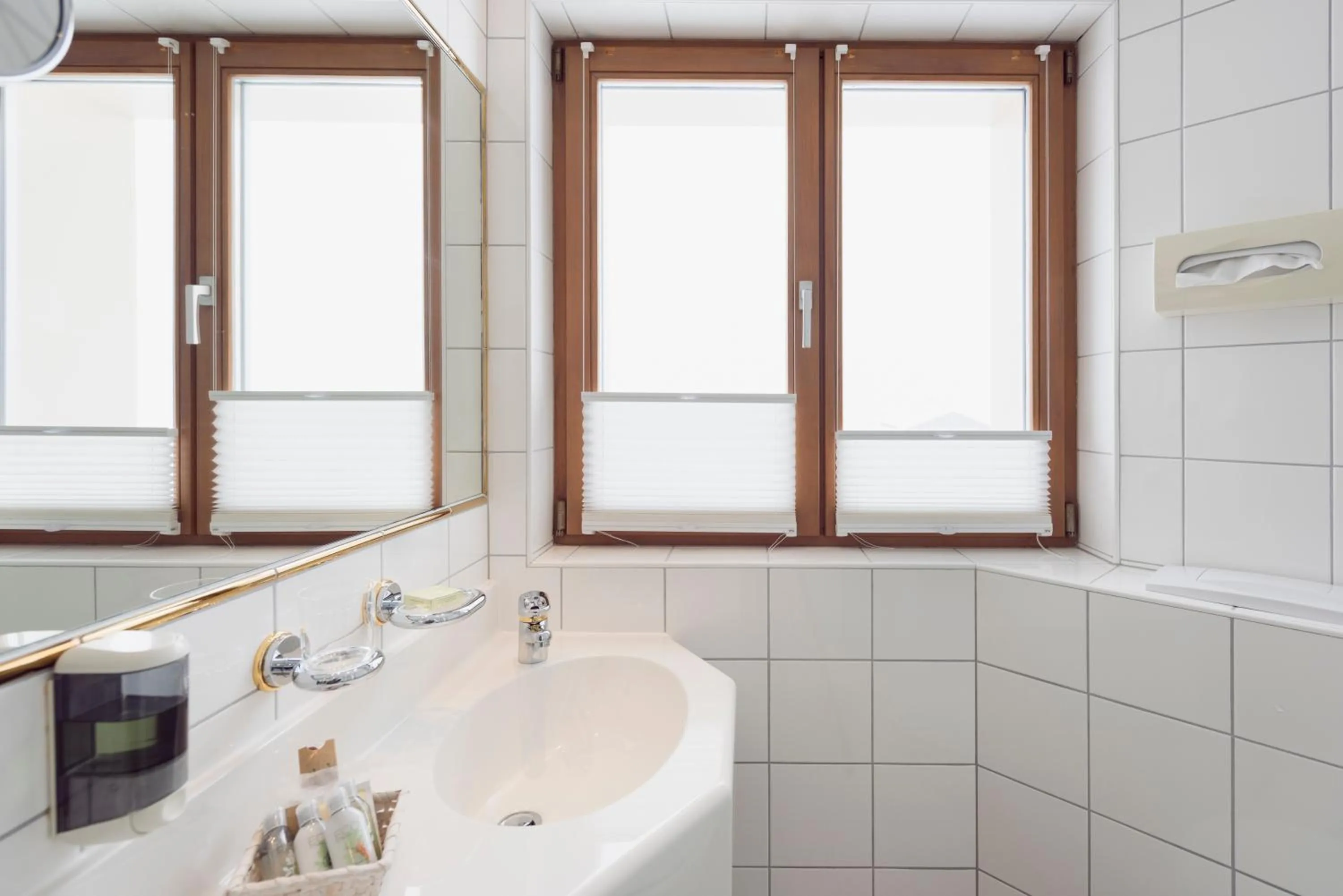 Bathroom in Arlberghaus