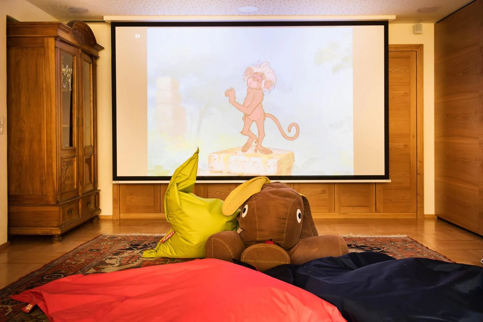 TV and multimedia in Arlberghaus