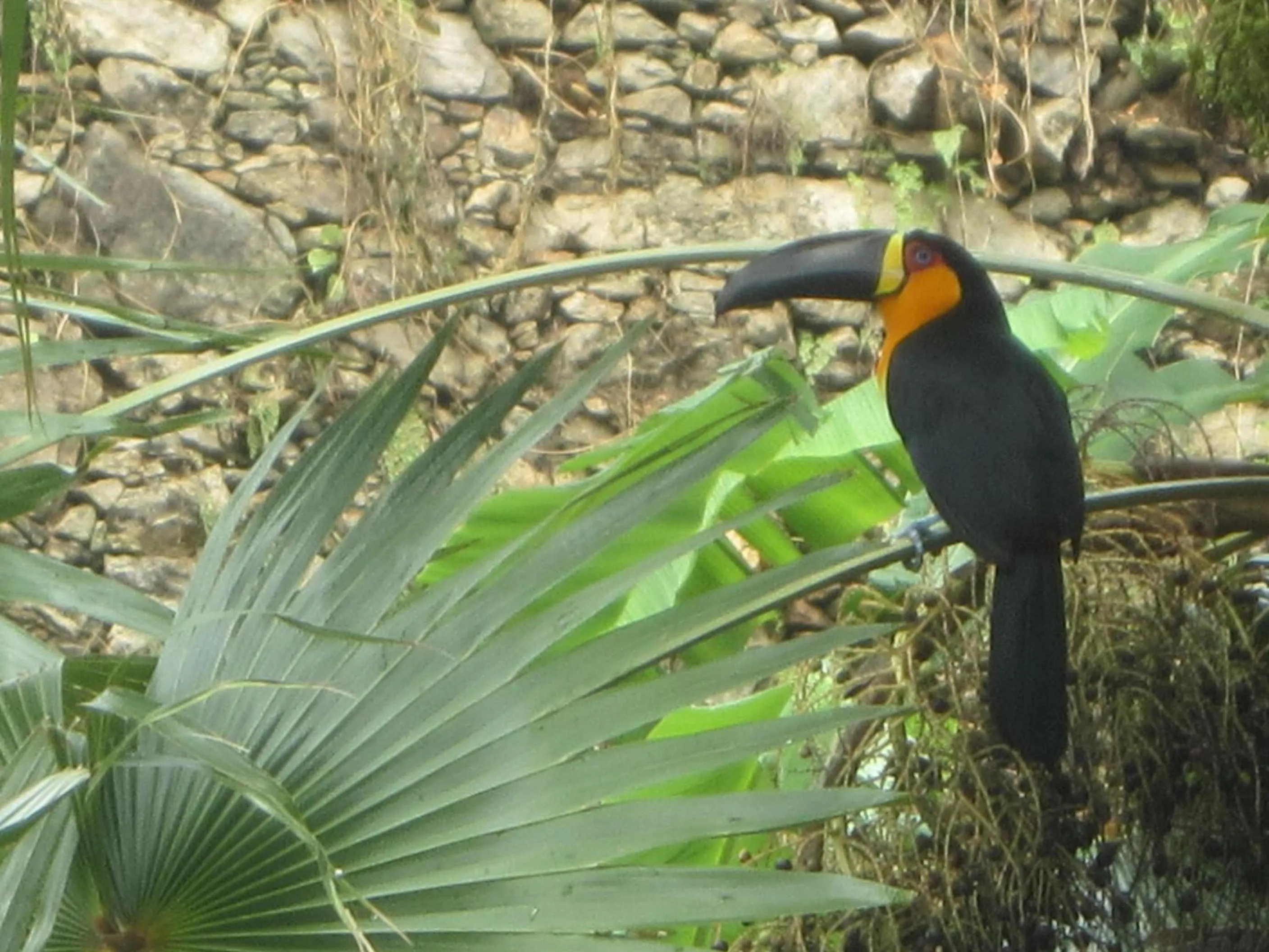 Property building in Casa Beleza