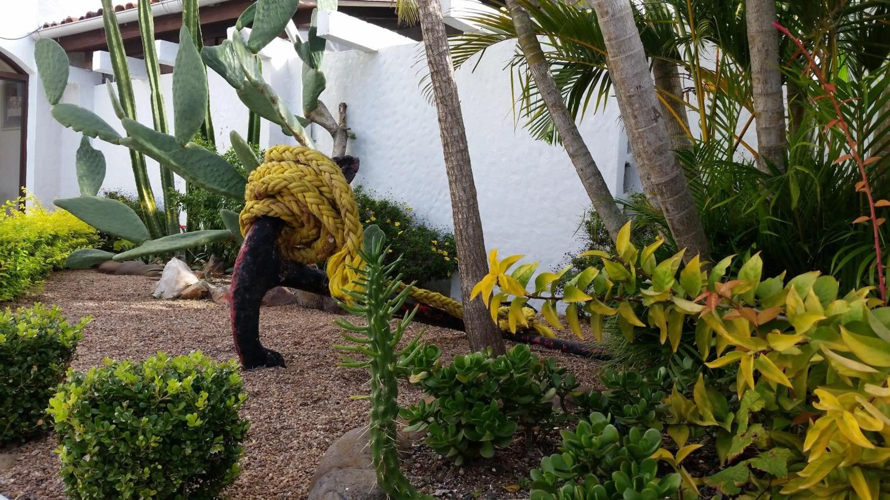 Garden in Hotel das Figueiras