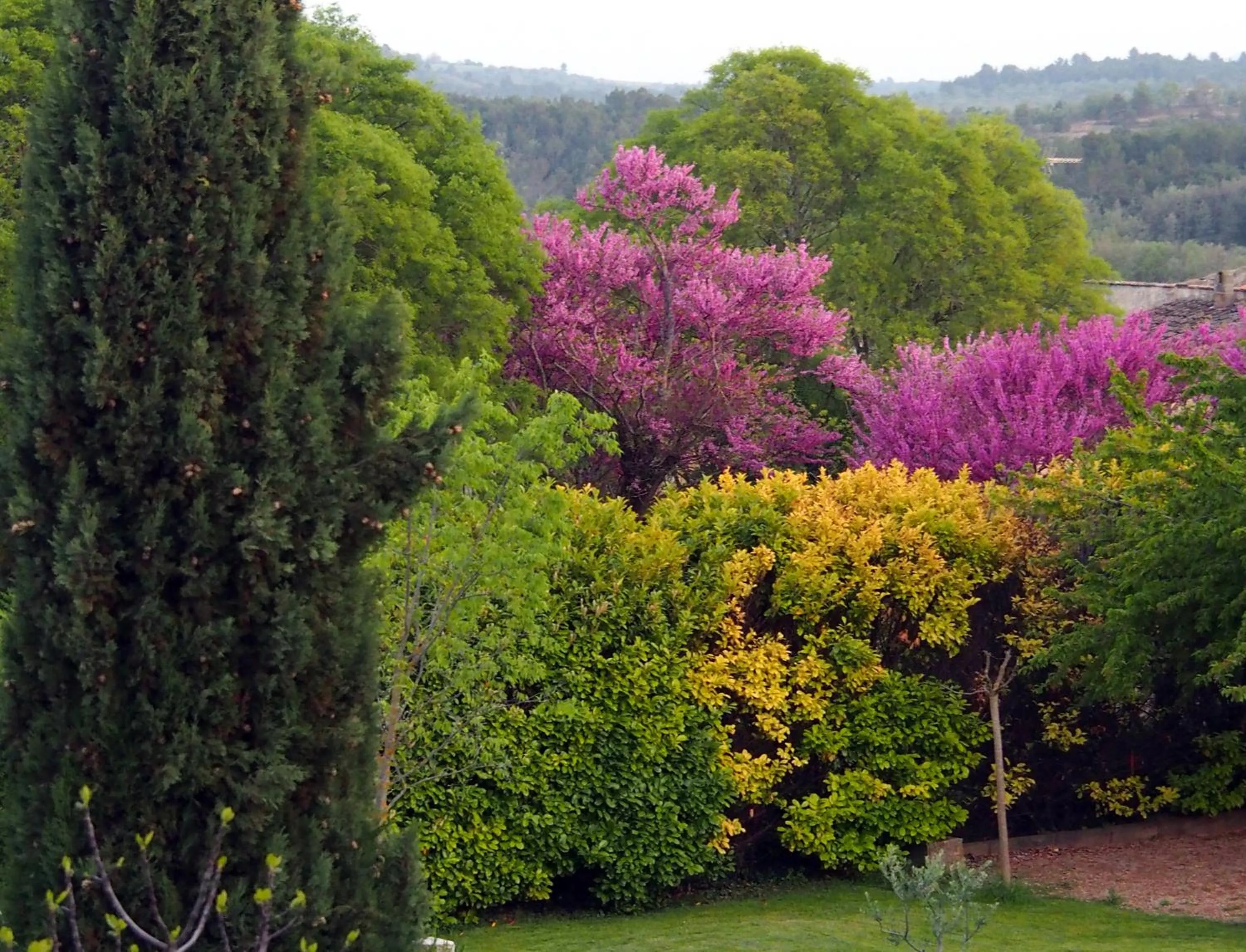 Garden in Hotel Le Moulin du Château