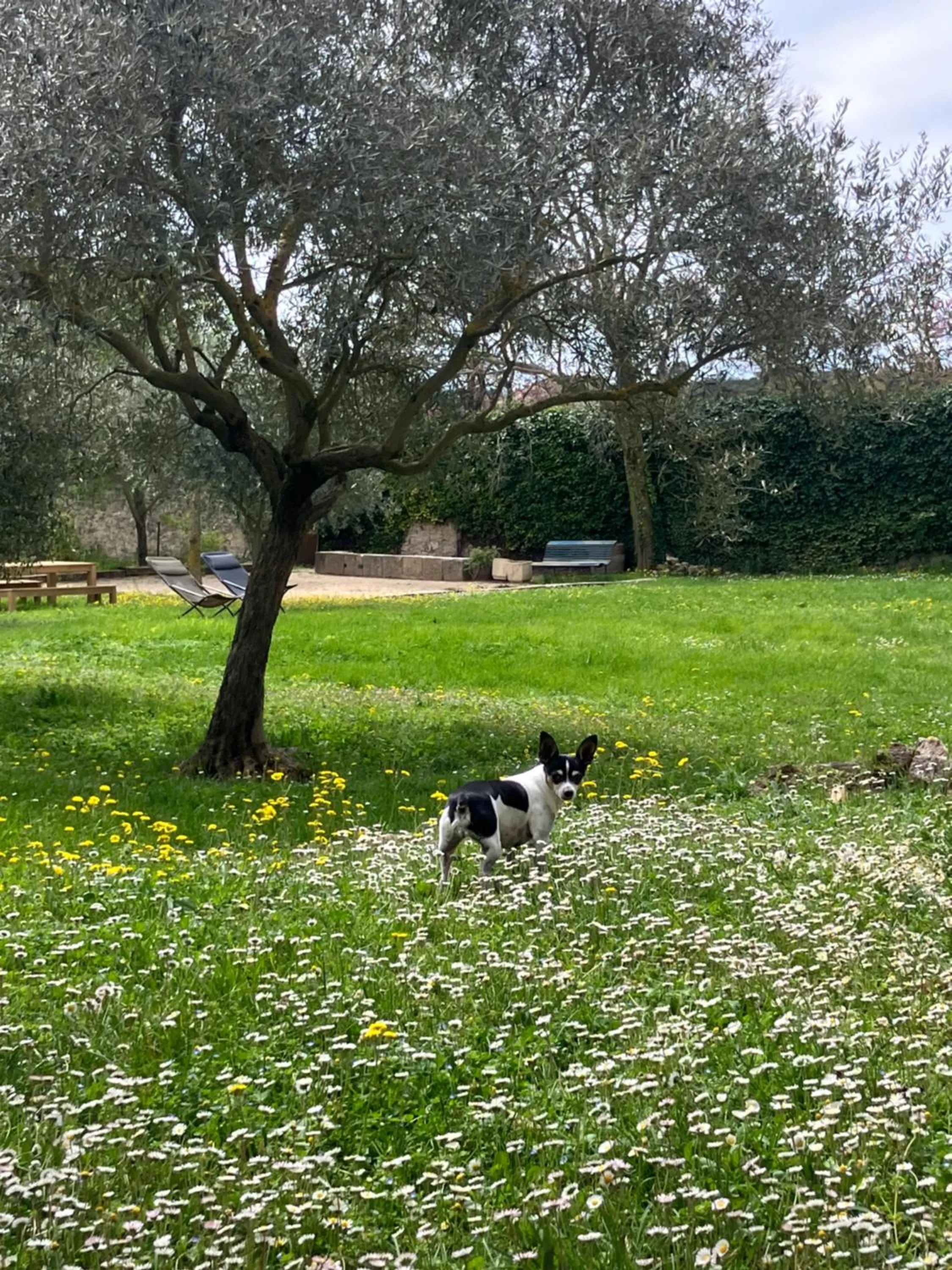 Hotel Le Moulin du Château