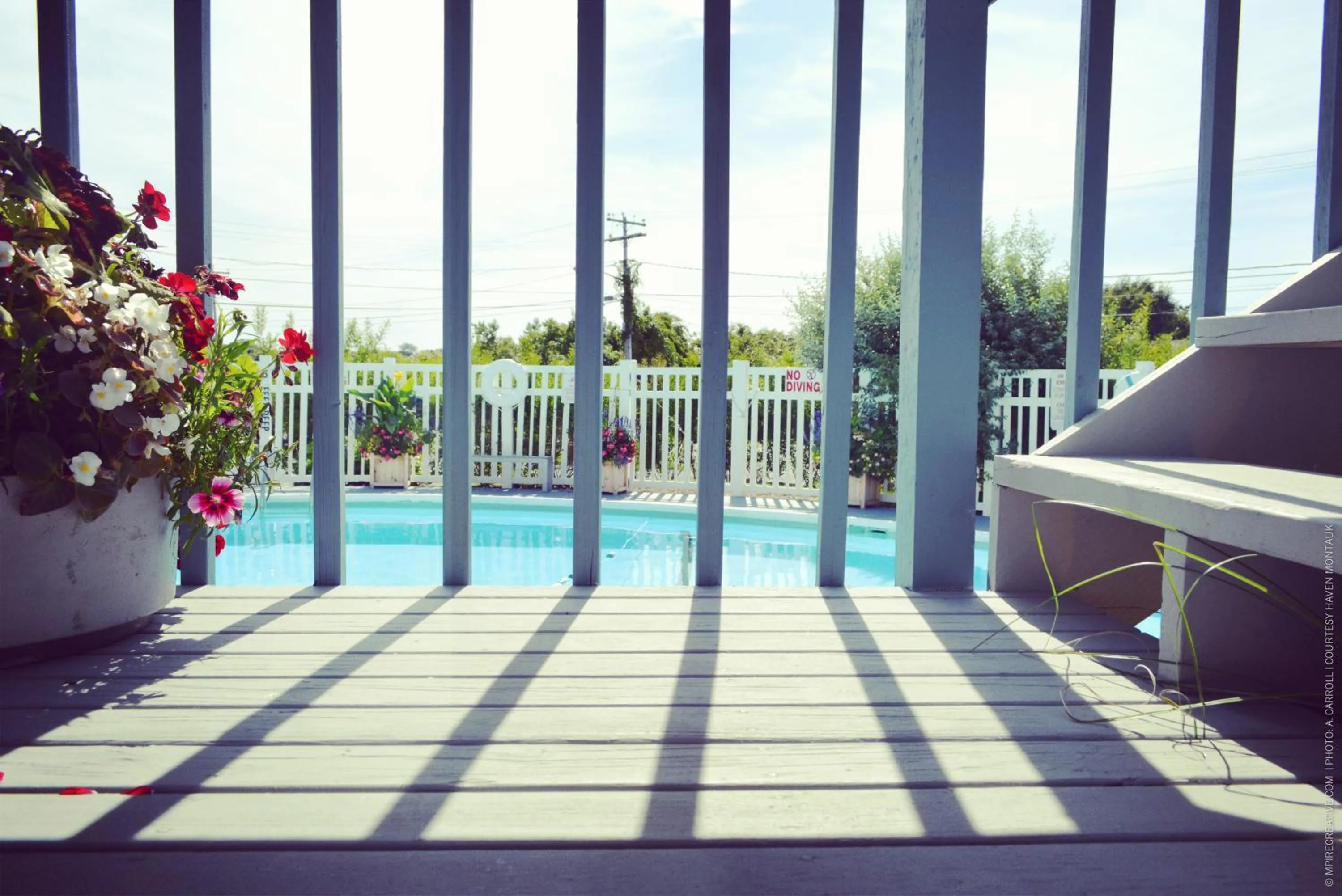 Swimming pool in Haven Montauk