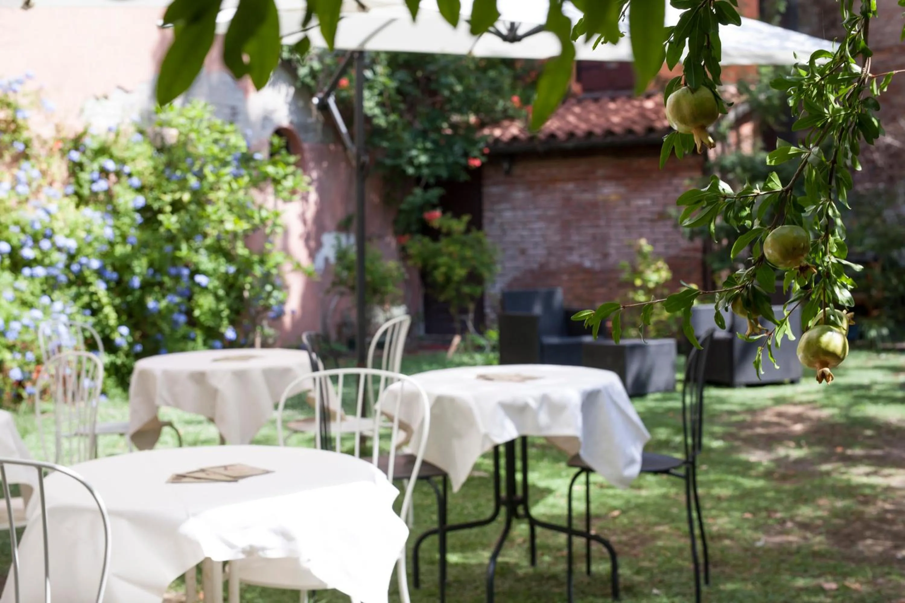 Garden in Casa Del Melograno