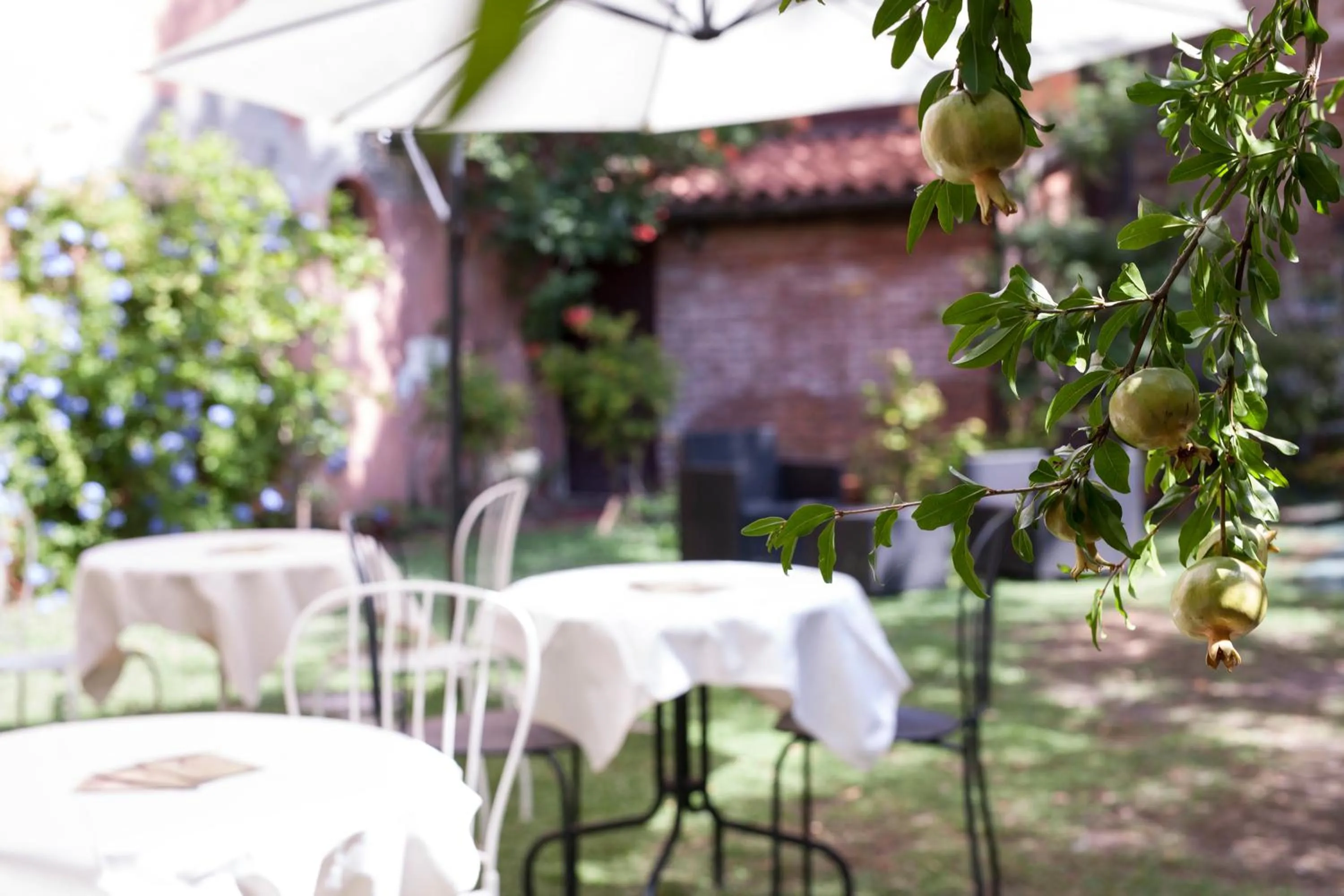 Garden in Casa Del Melograno