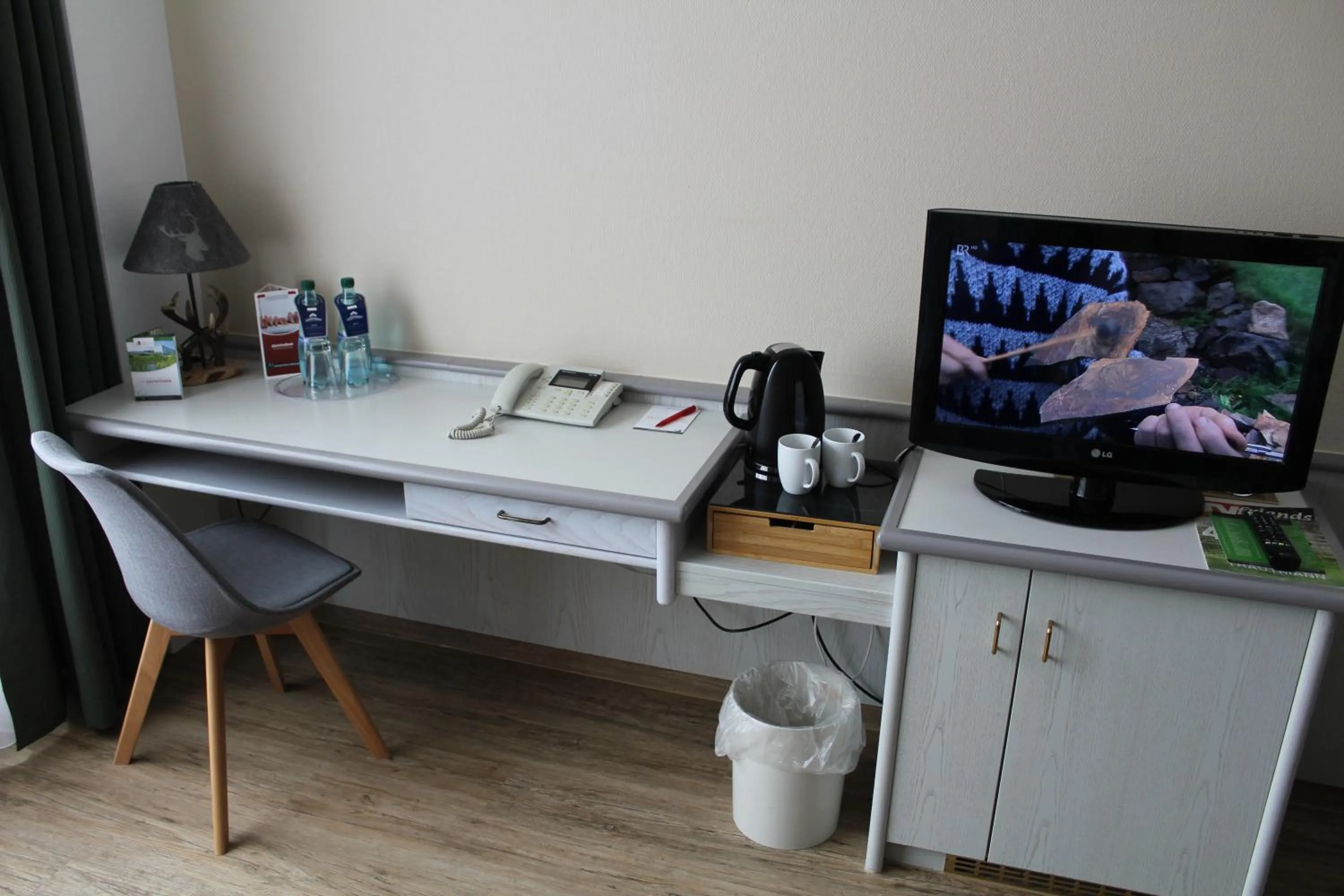 TV and multimedia in Hotel Rennsteig