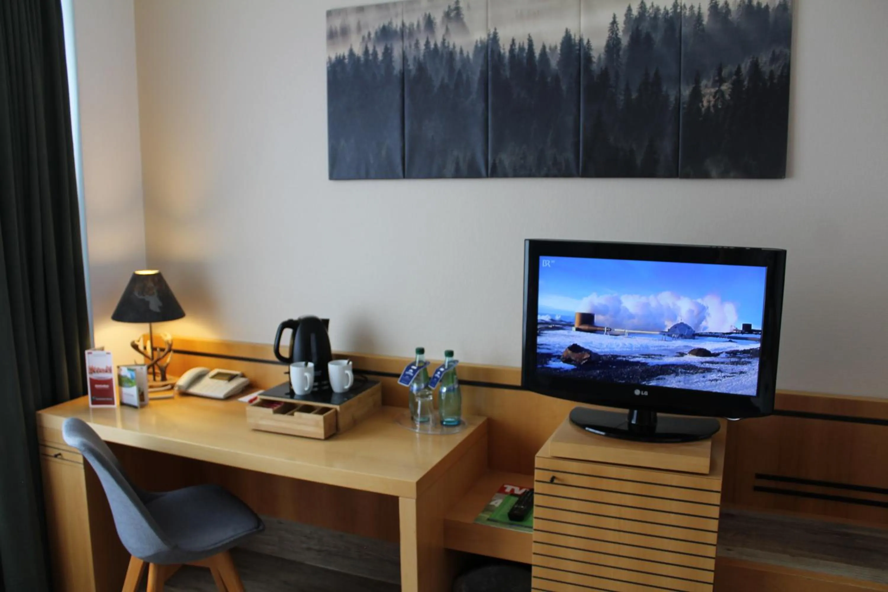 TV and multimedia in Hotel Rennsteig