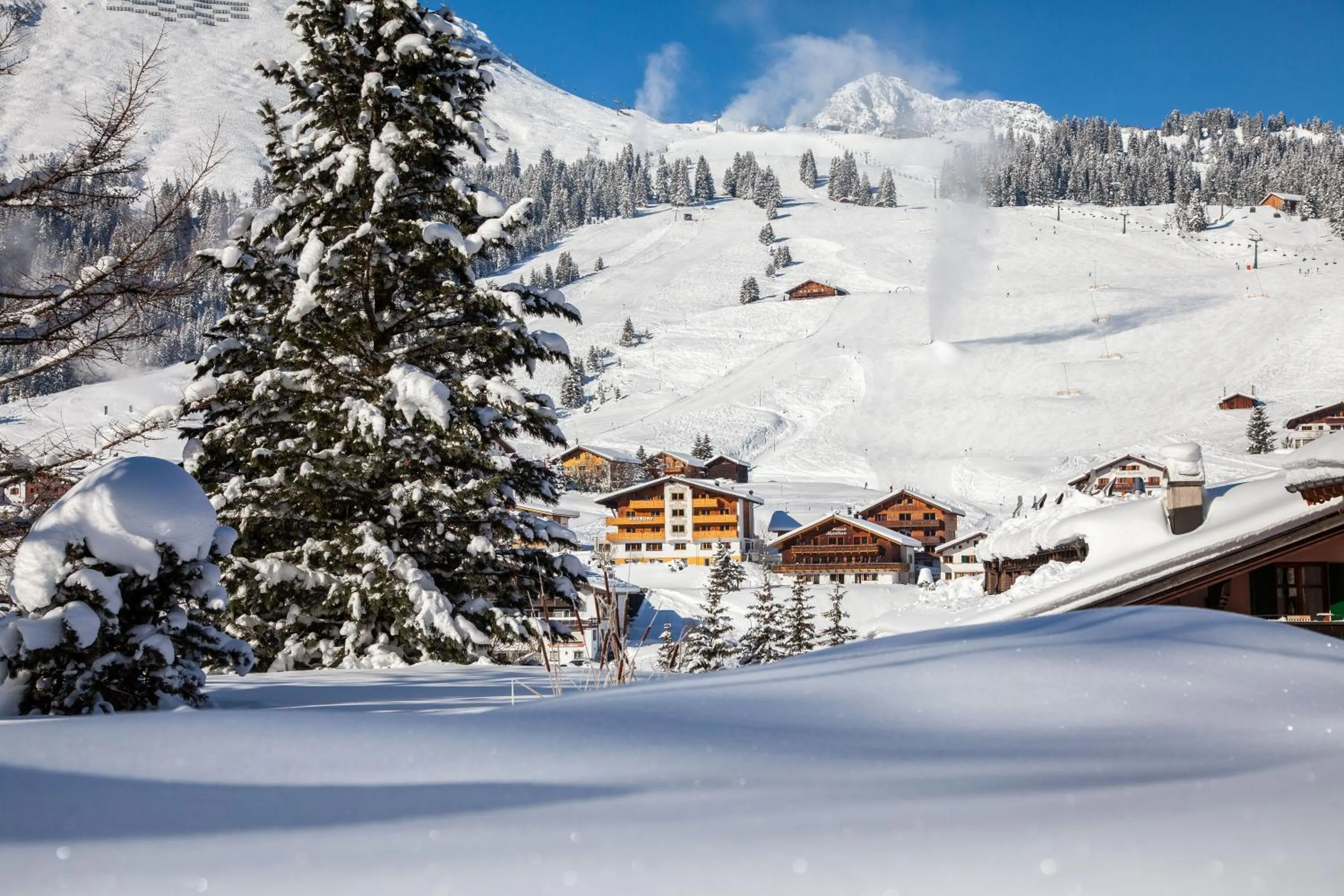 Property building in Hotel Anemone