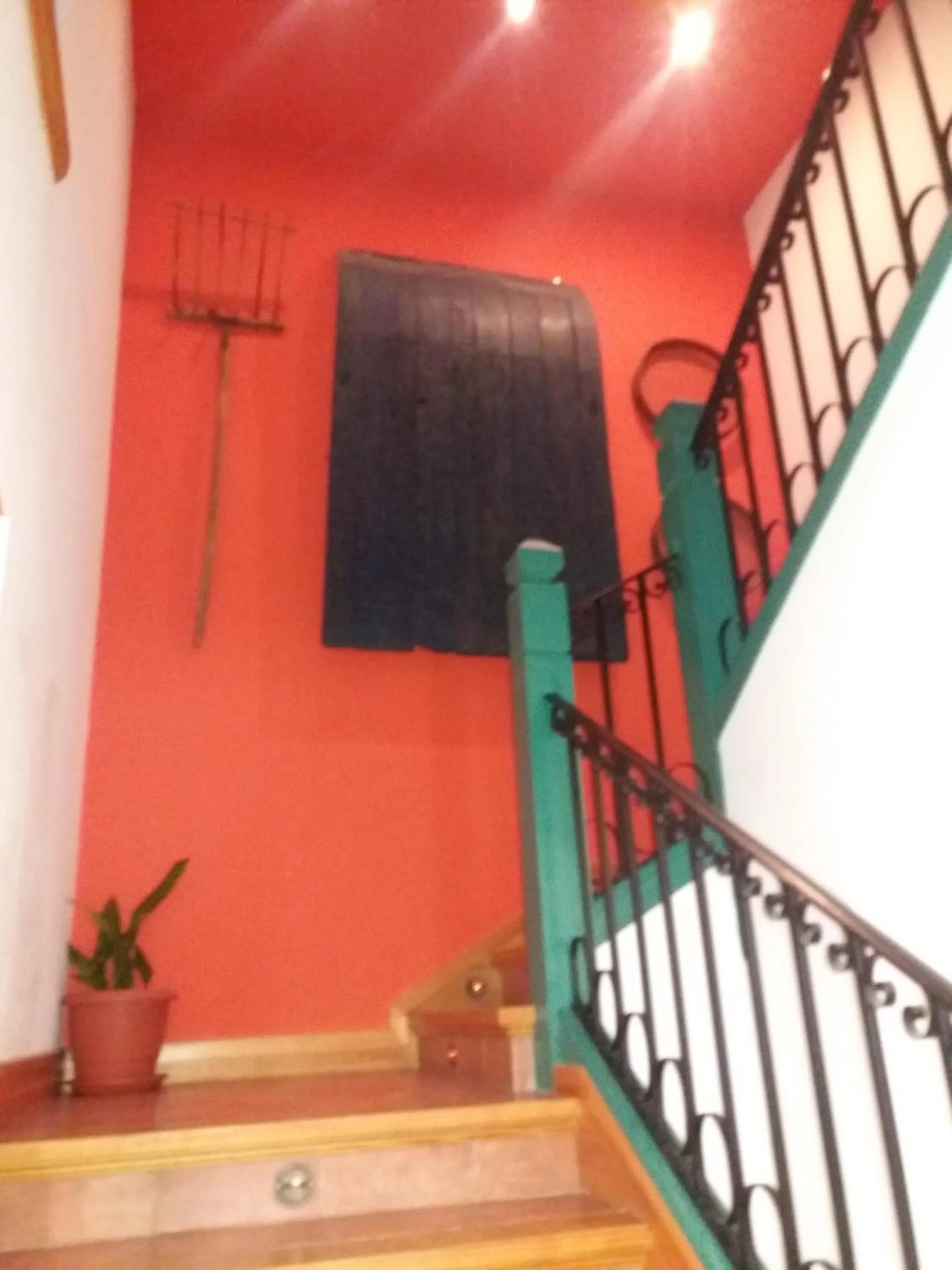 Area and facilities in Hotel y apartamentos La Casa Rural