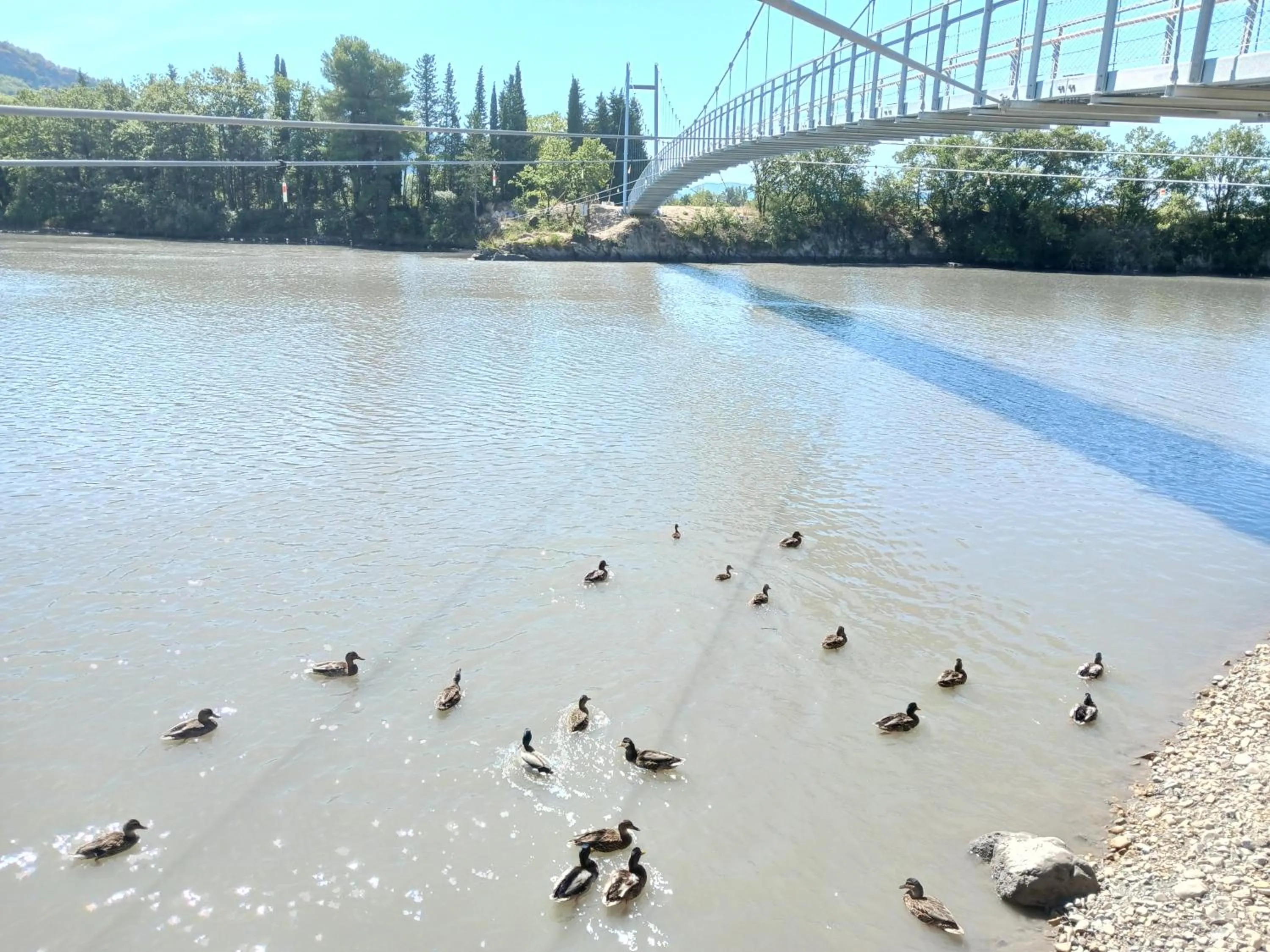 Natural landscape in Hotel Du Lac