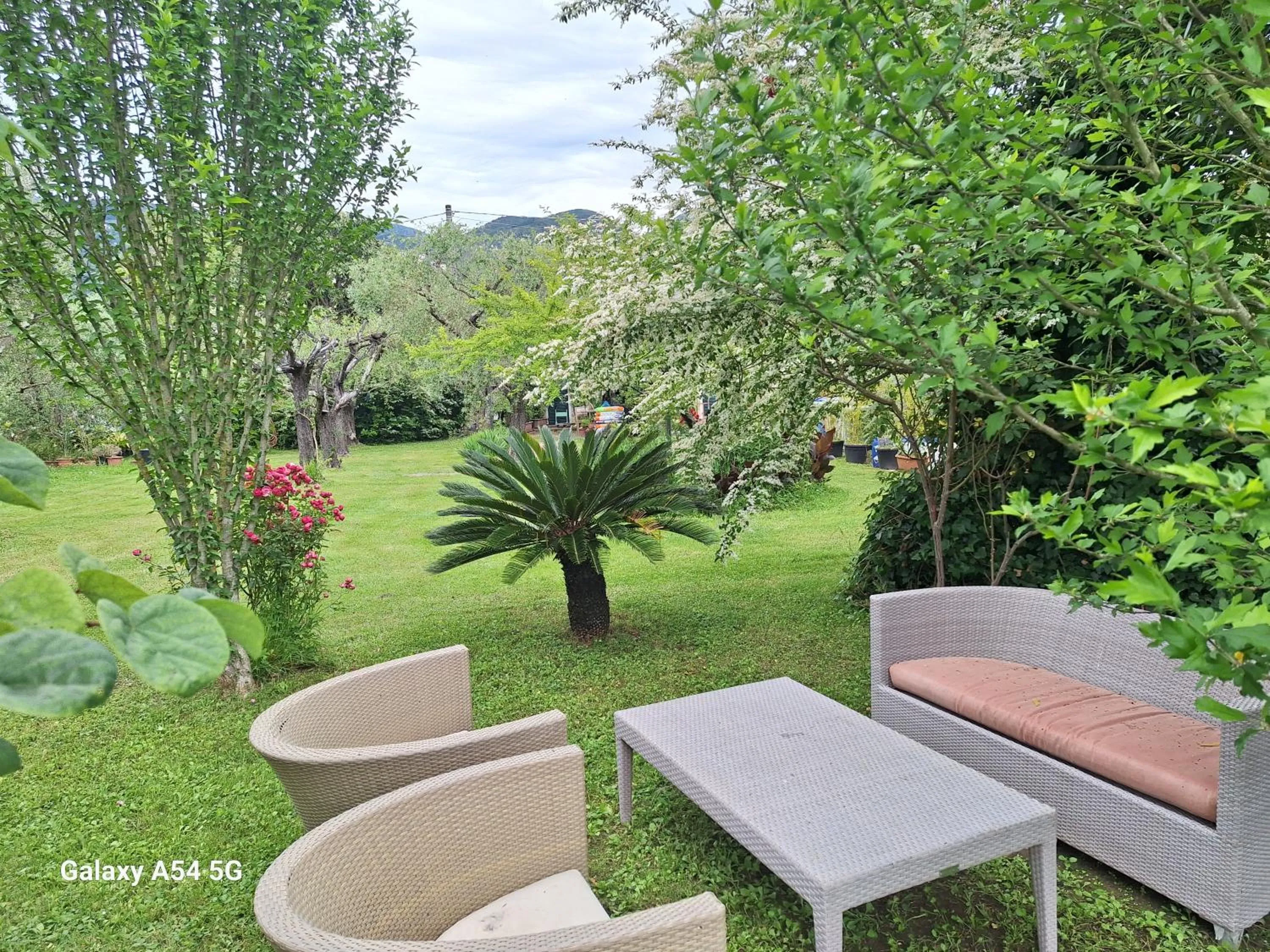 Garden in B&B Da Pio