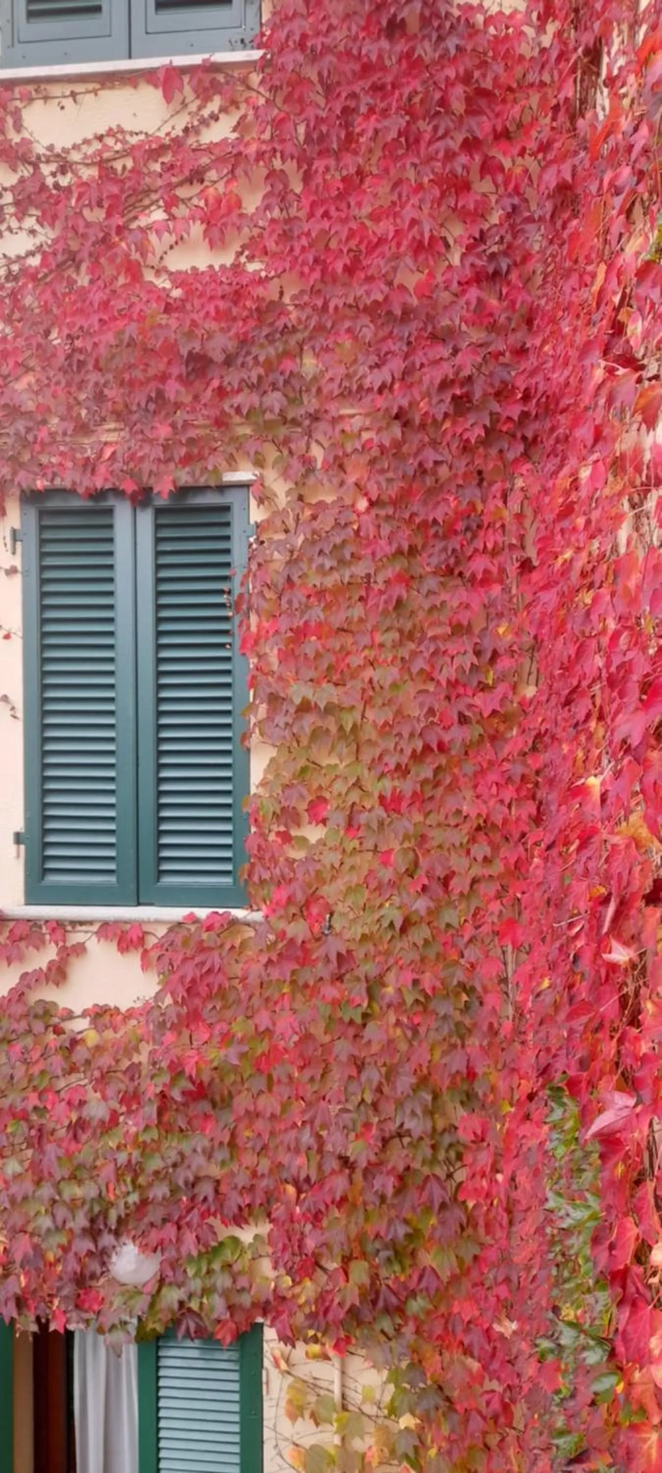 Property building in B&B Da Pio