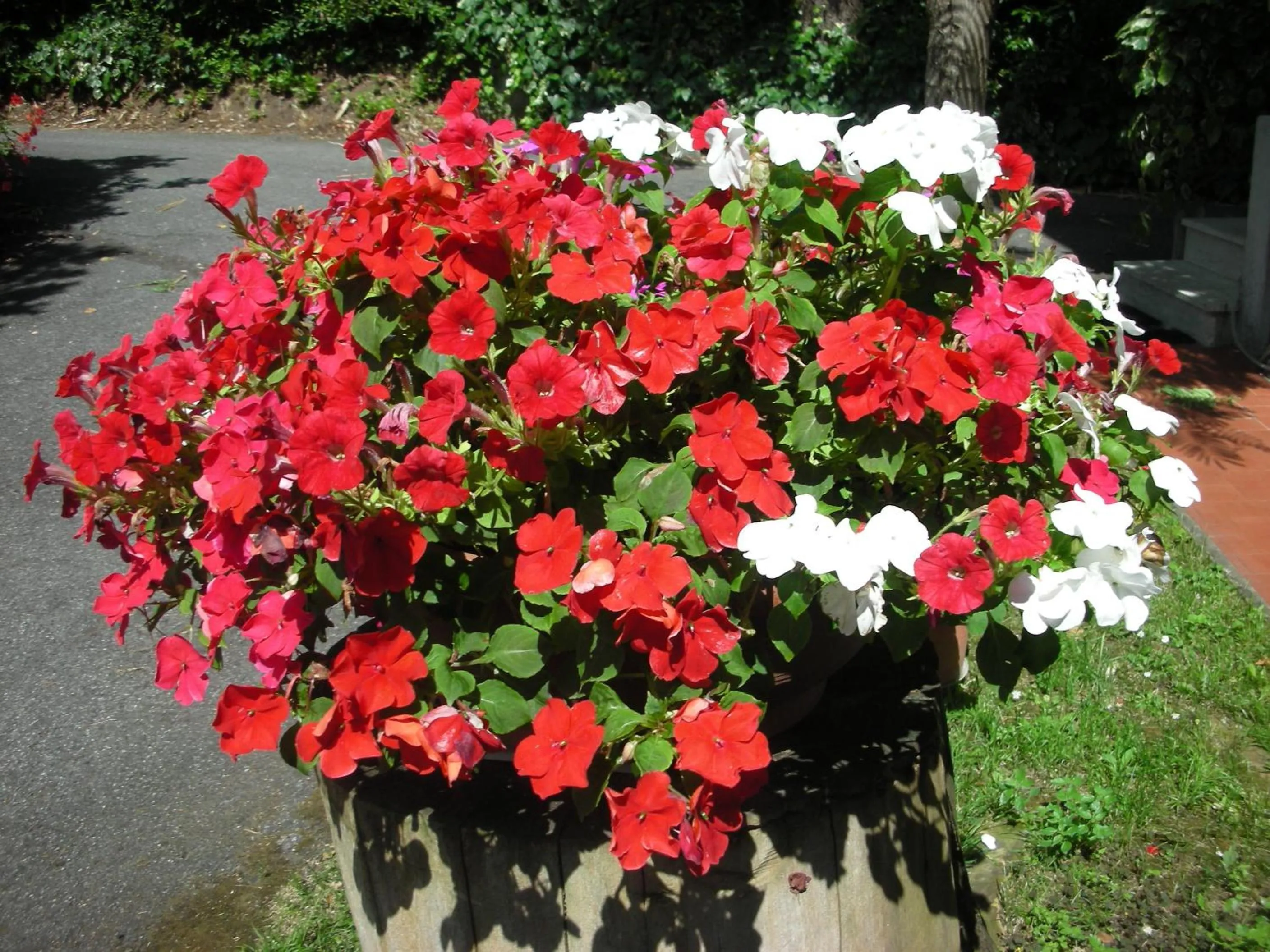 Decorative detail in B&B Da Pio