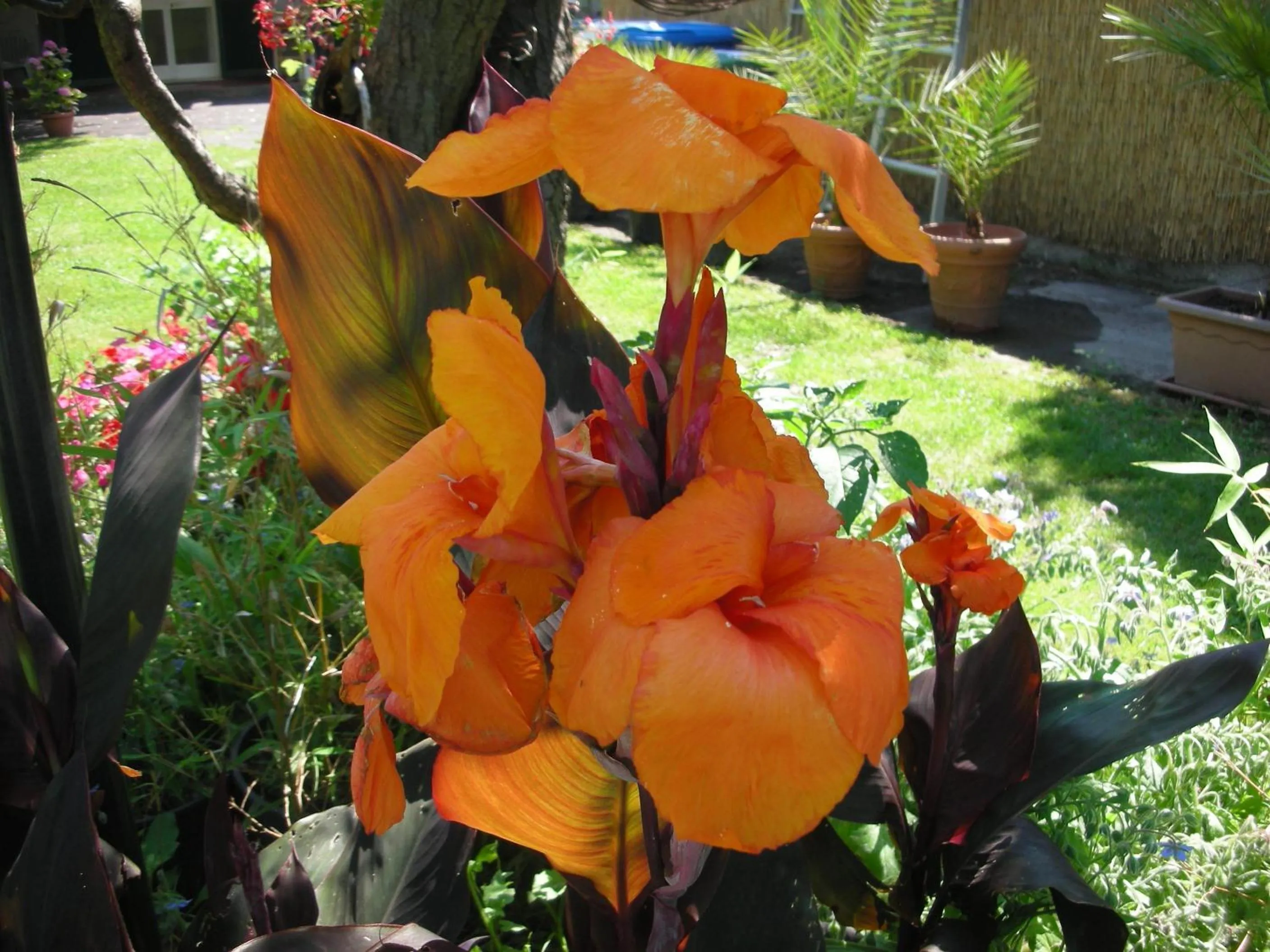 Decorative detail in B&B Da Pio