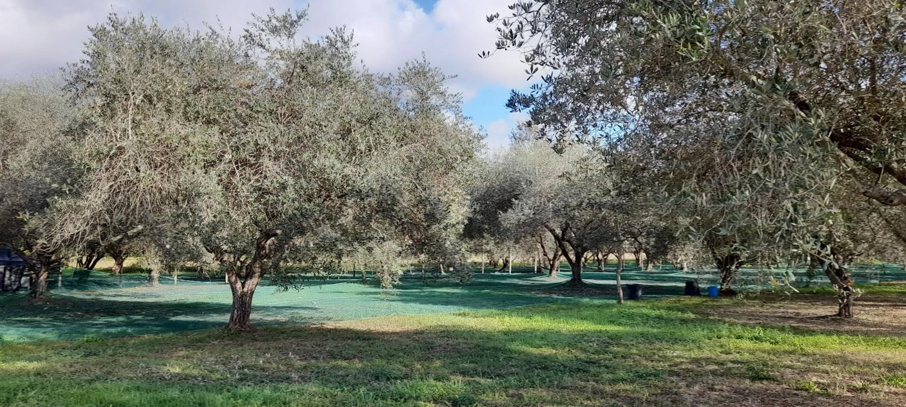 Garden in B&B Da Pio