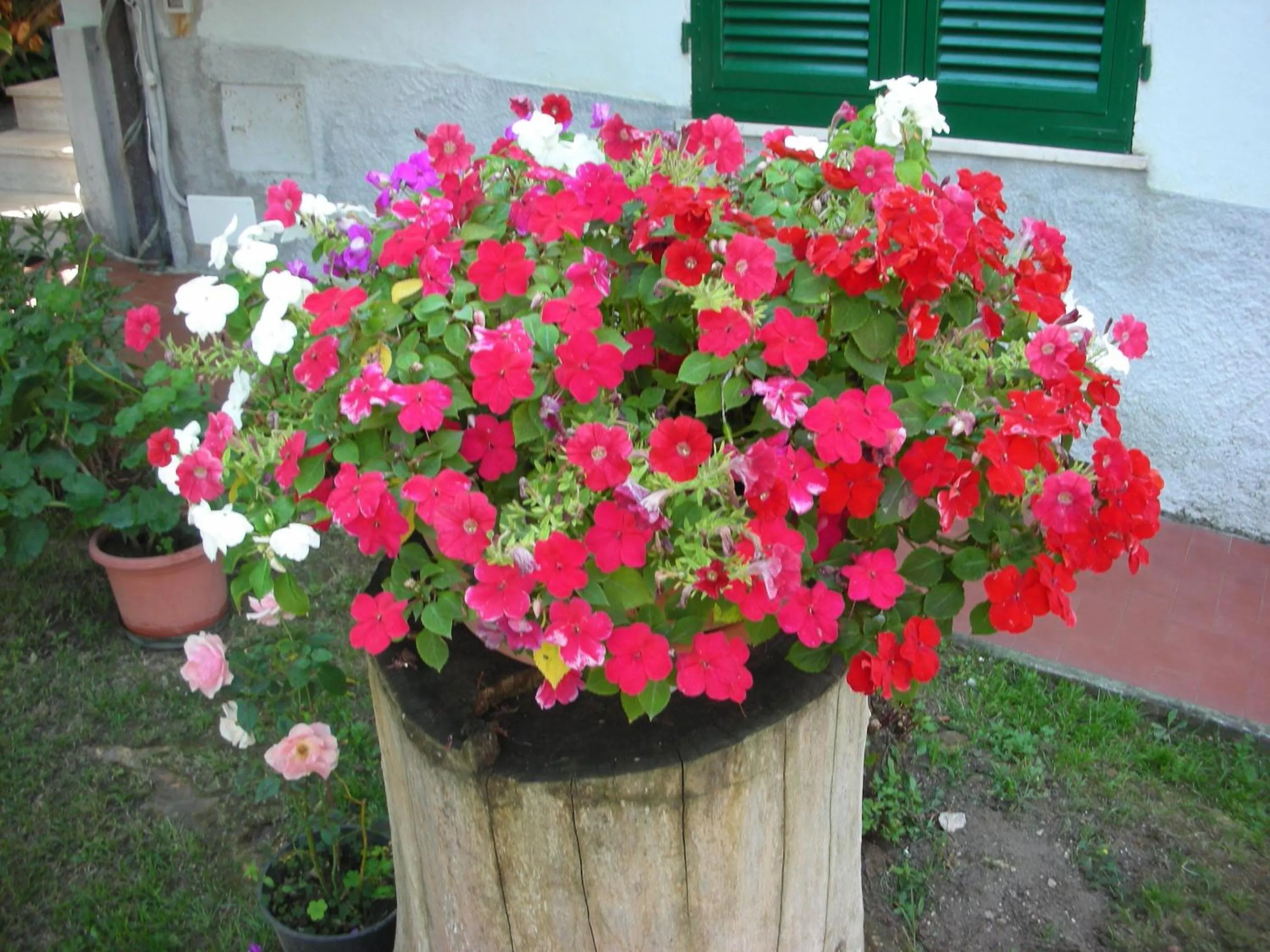 Decorative detail in B&B Da Pio