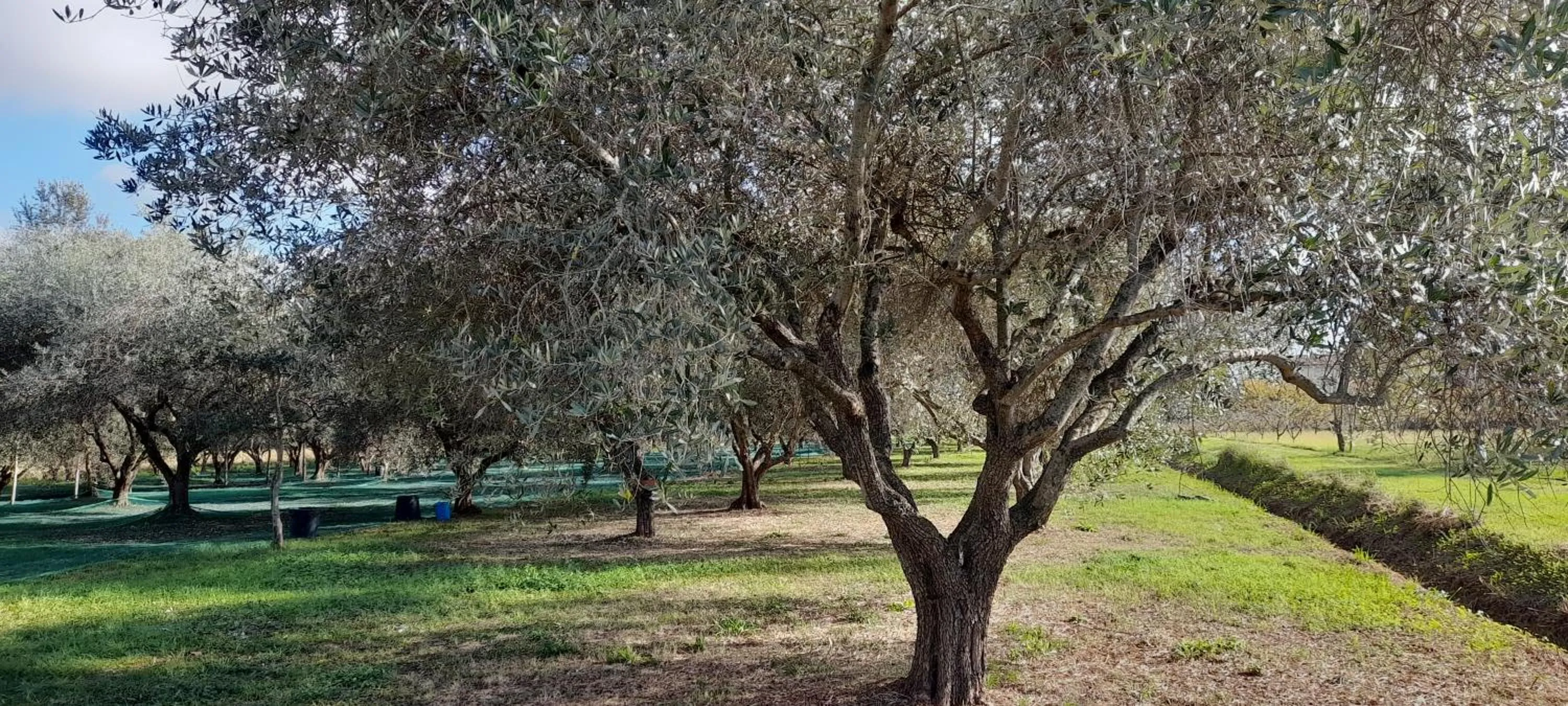 Garden view in B&B Da Pio