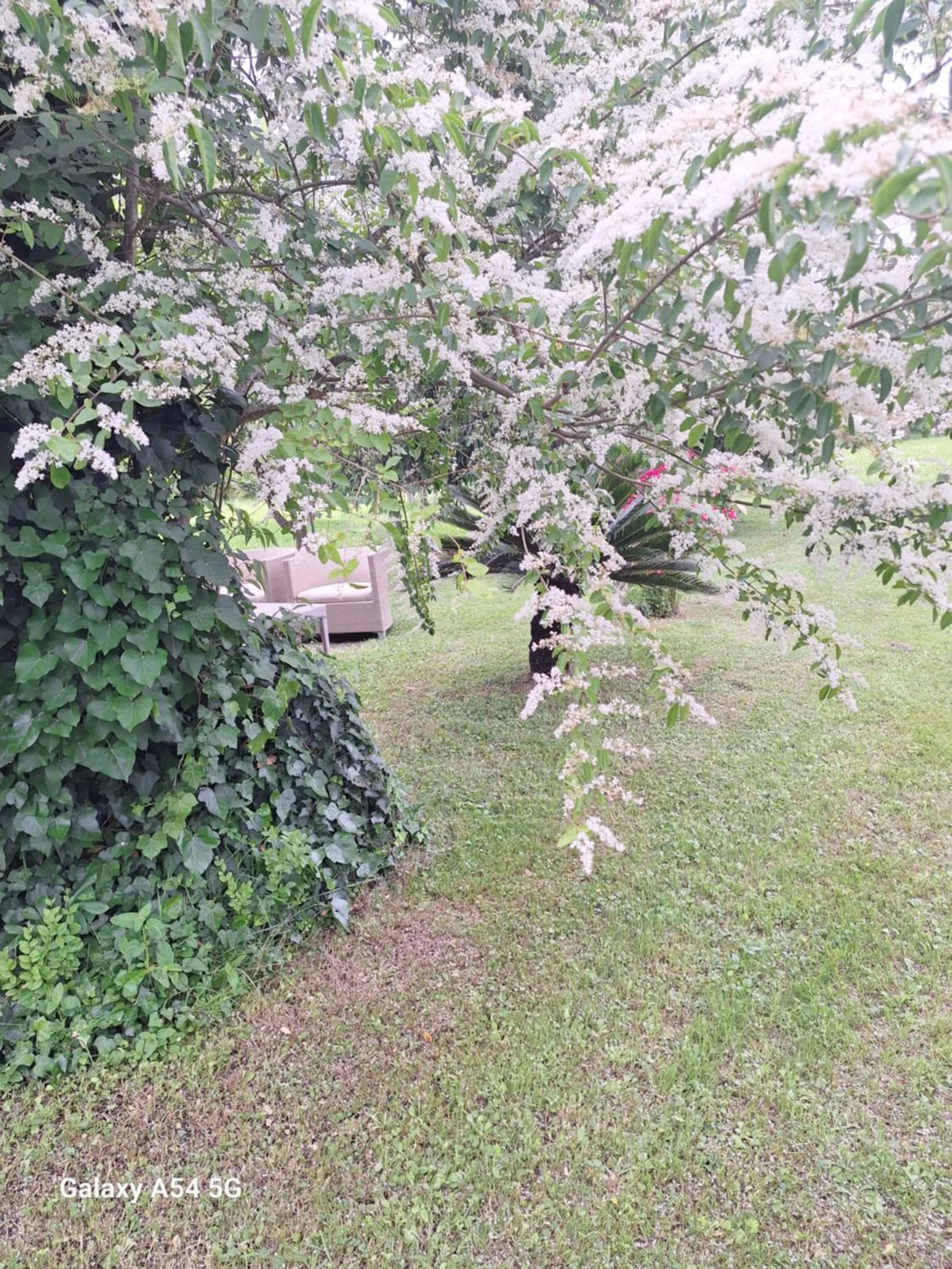 Garden in B&B Da Pio