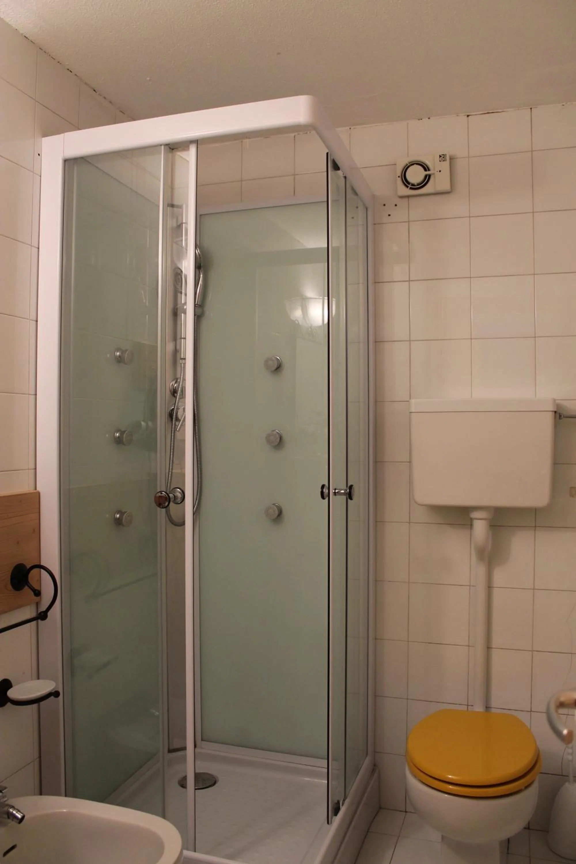 Shower in Jolly Residence