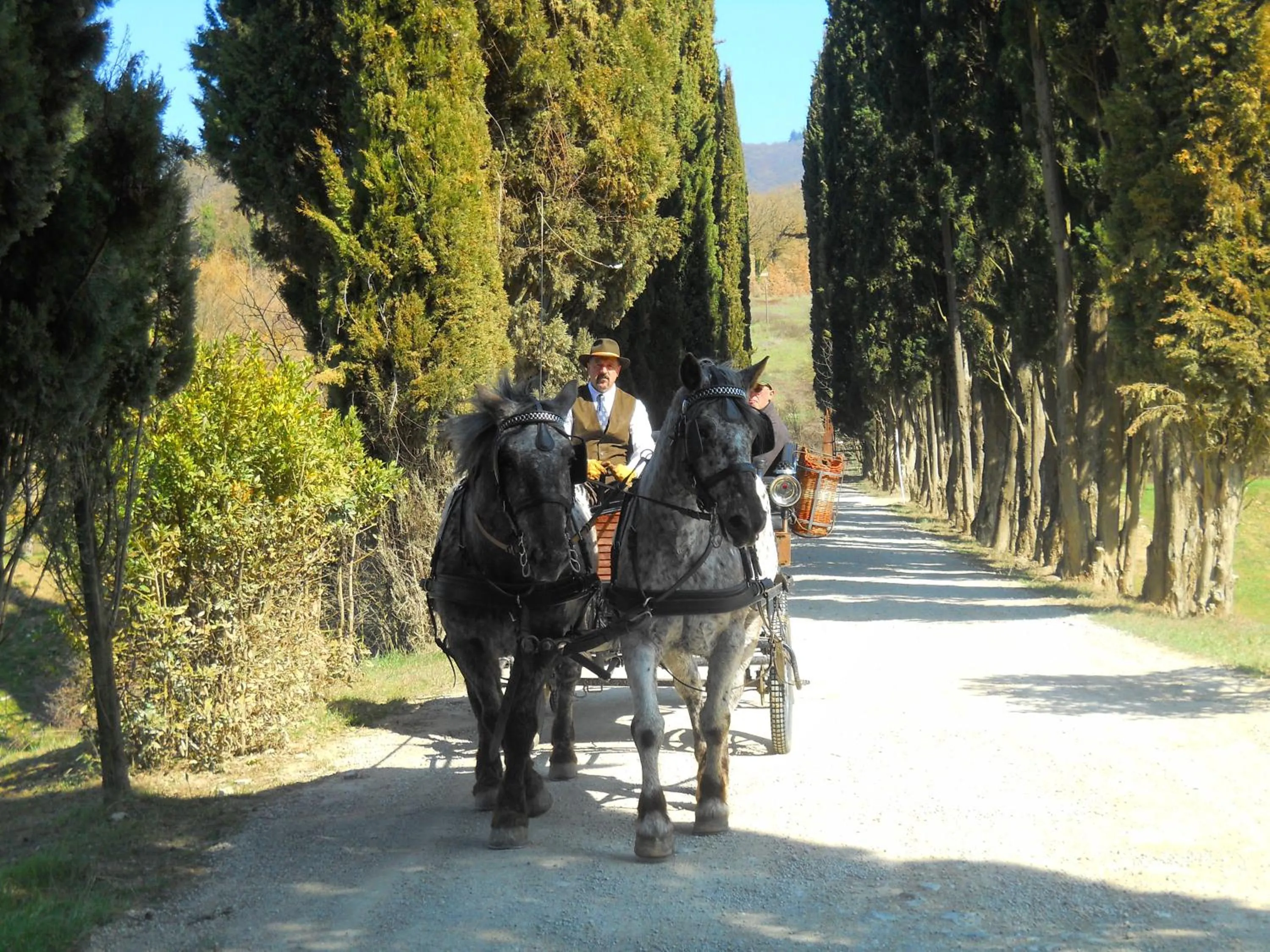 Animals in Albergo Giovanni Da Verrazzano