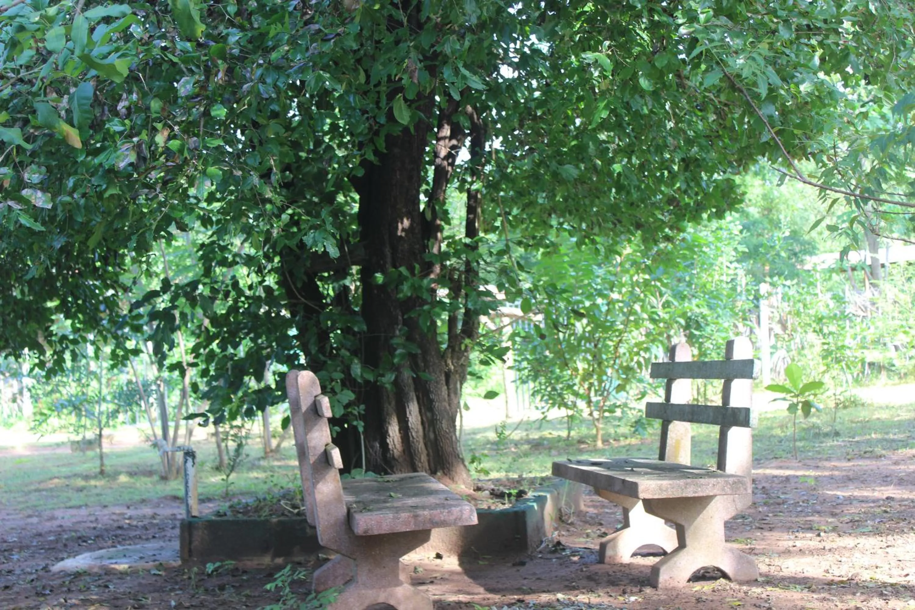 Wilpattu Holiday Home