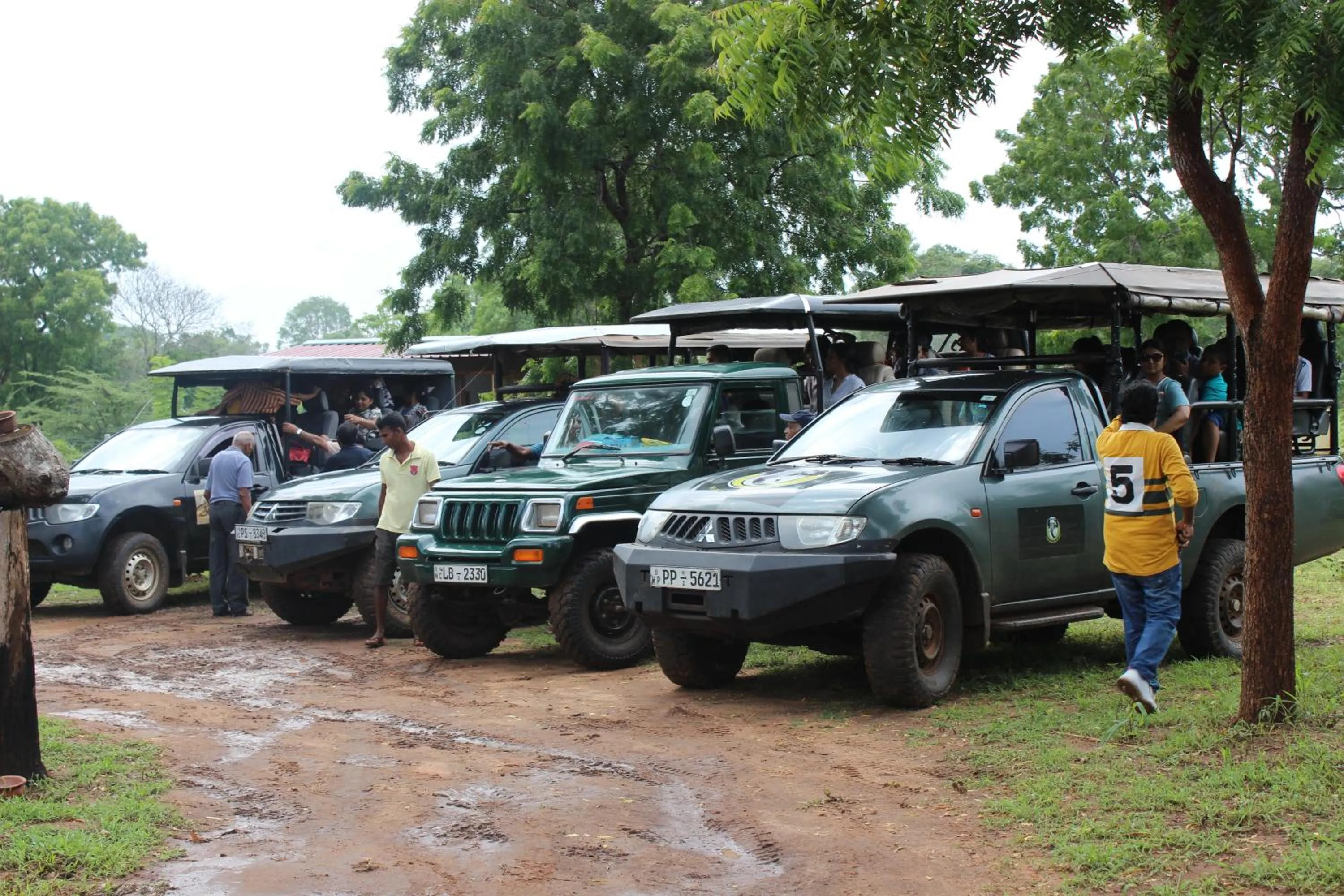 Wilpattu Holiday Home