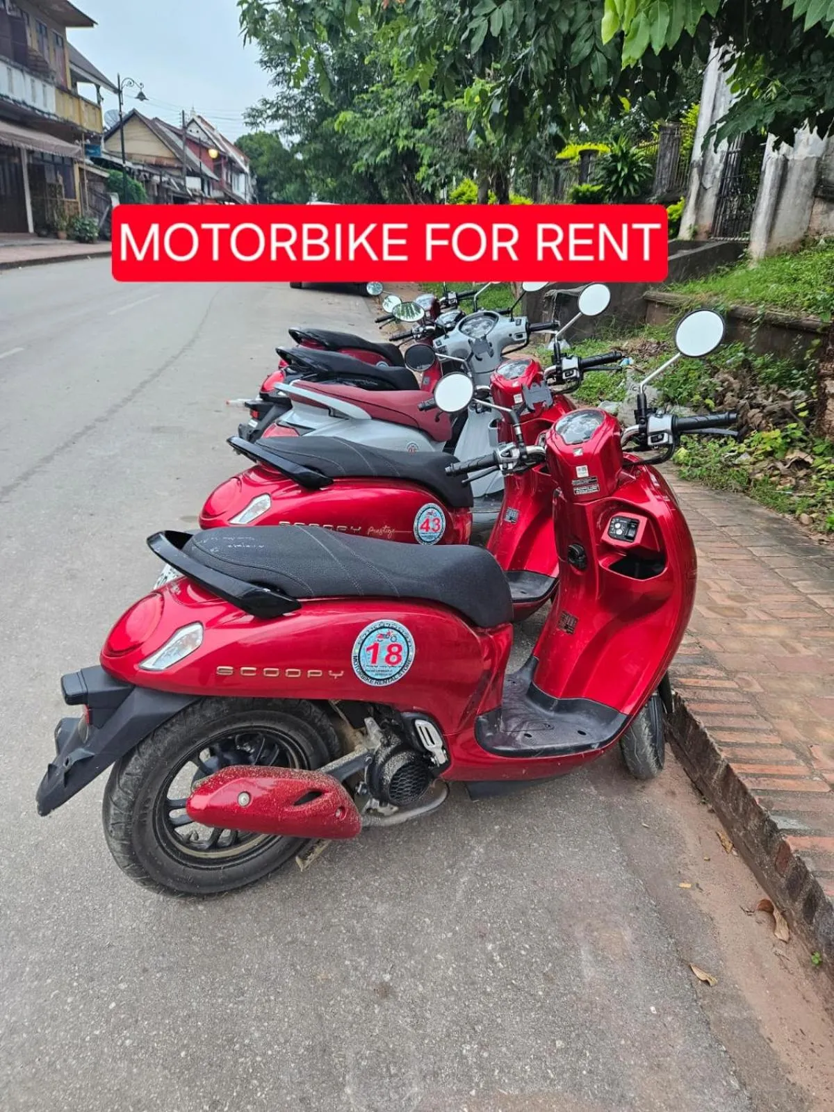 Day in Chitlatda Bila House