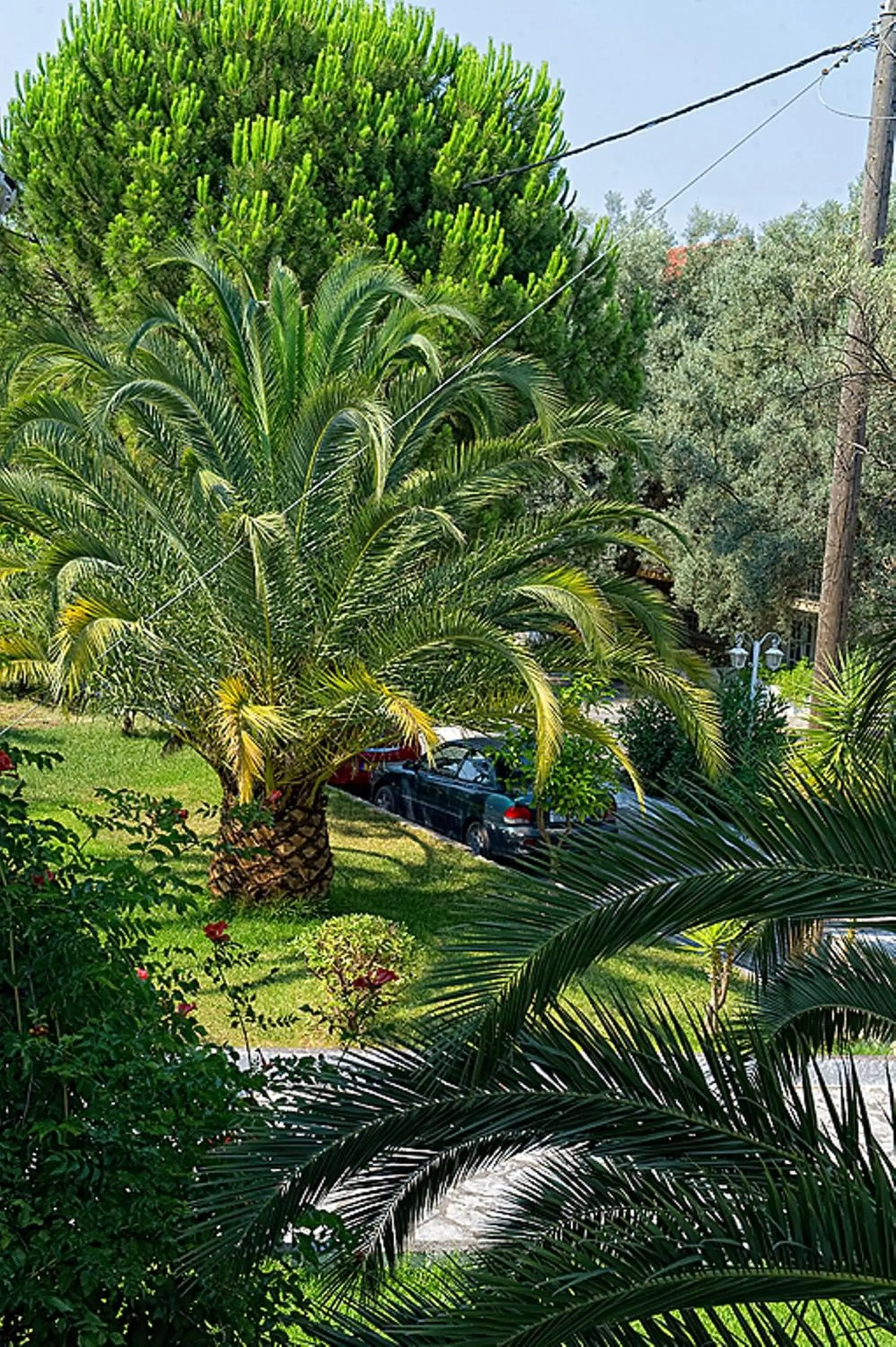 Garden in Thalero Holidays Center