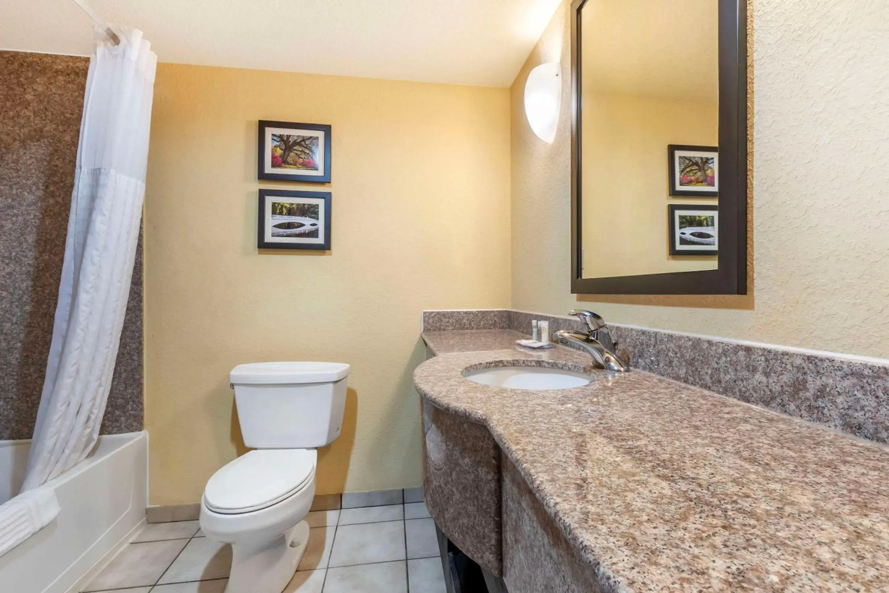 King Room - Non-Smoking in Comfort Inn & Suites Charleston Airport Convention Center King Room - Non-Smoking in Comfort Inn & Suites Charleston Airport Convention Center