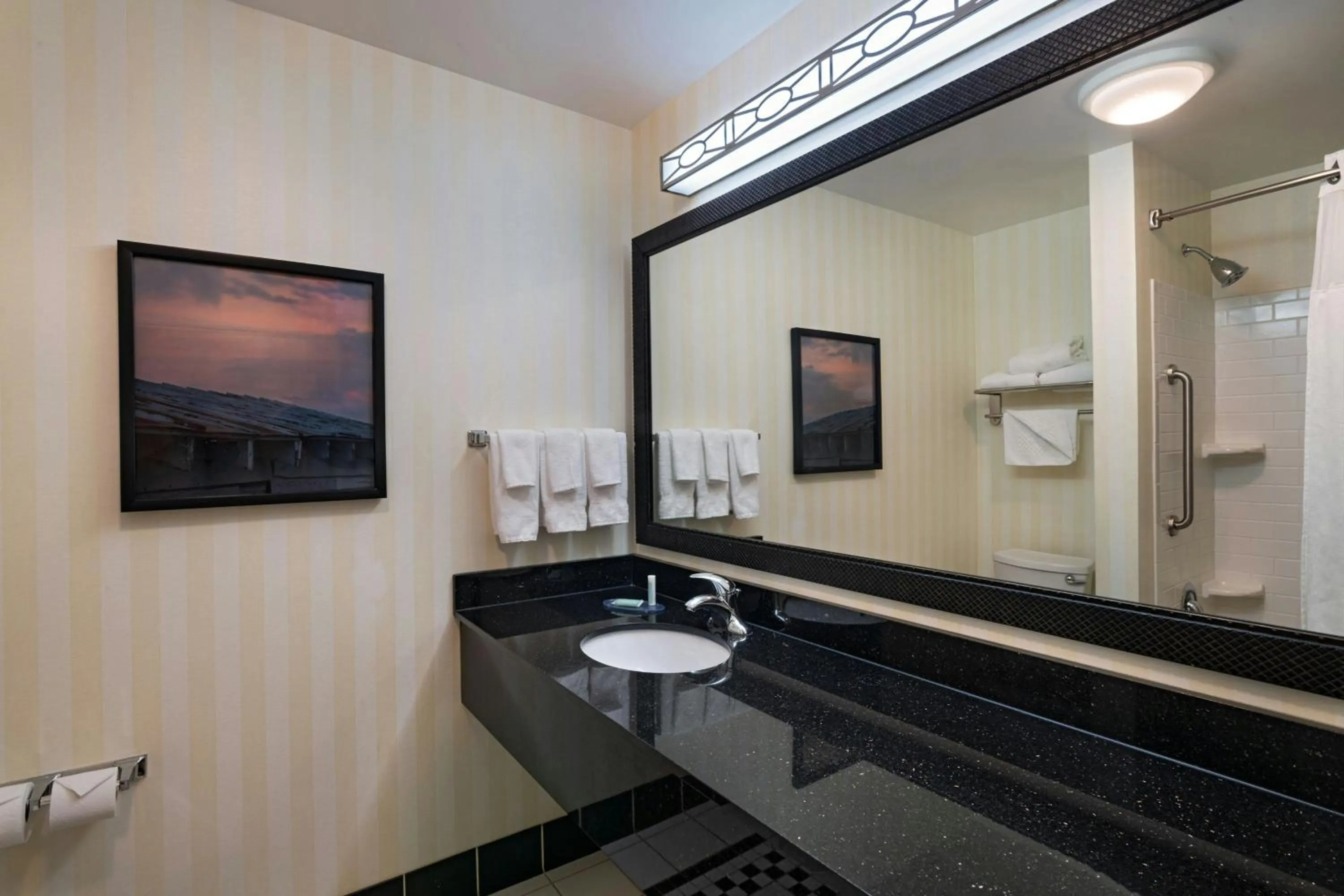 Bathroom in Fairfield Inn & Suites Tulsa South Medical District