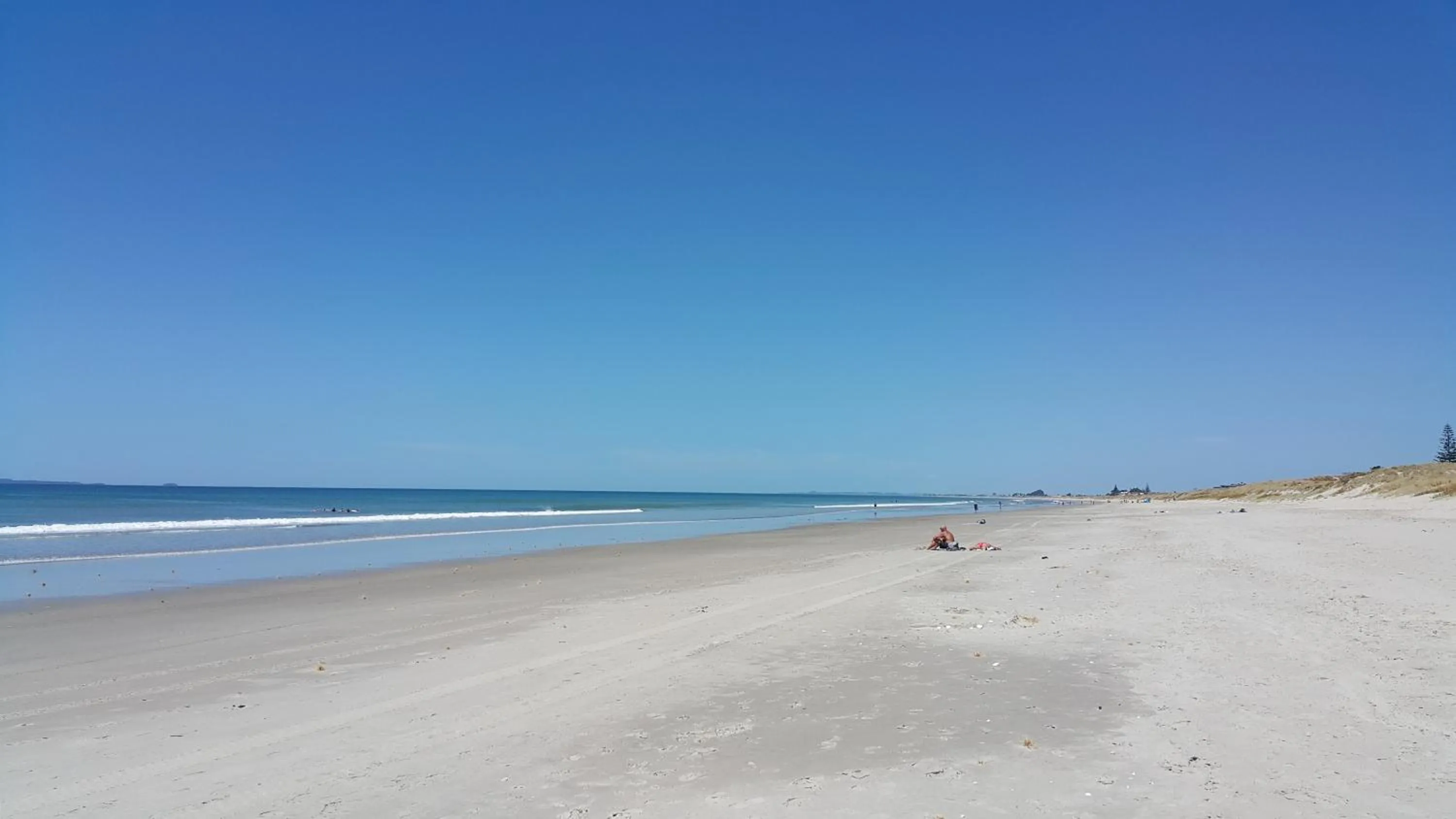 Natural landscape in Bay Palm Motel