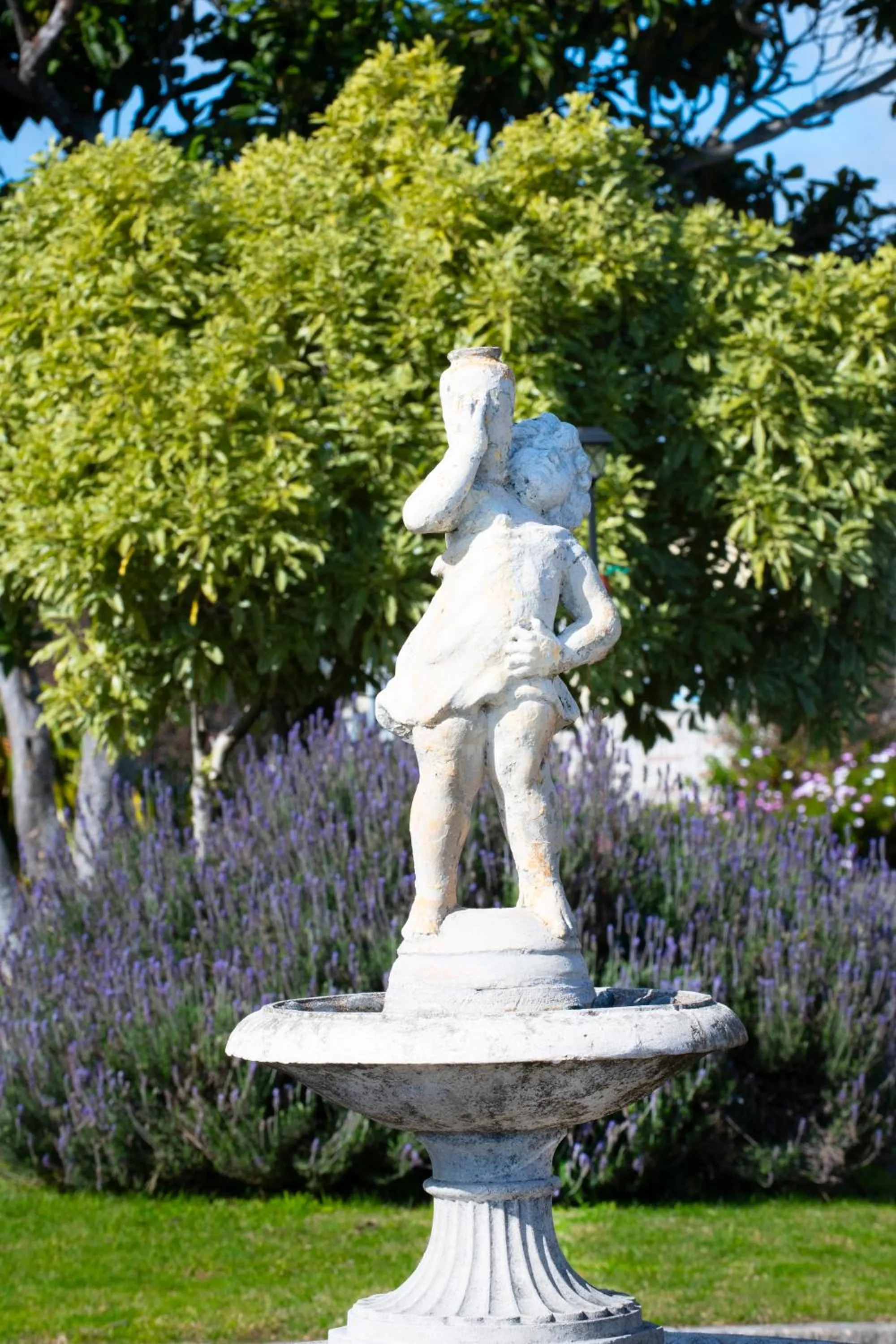 Garden in Spanish Lady Motel