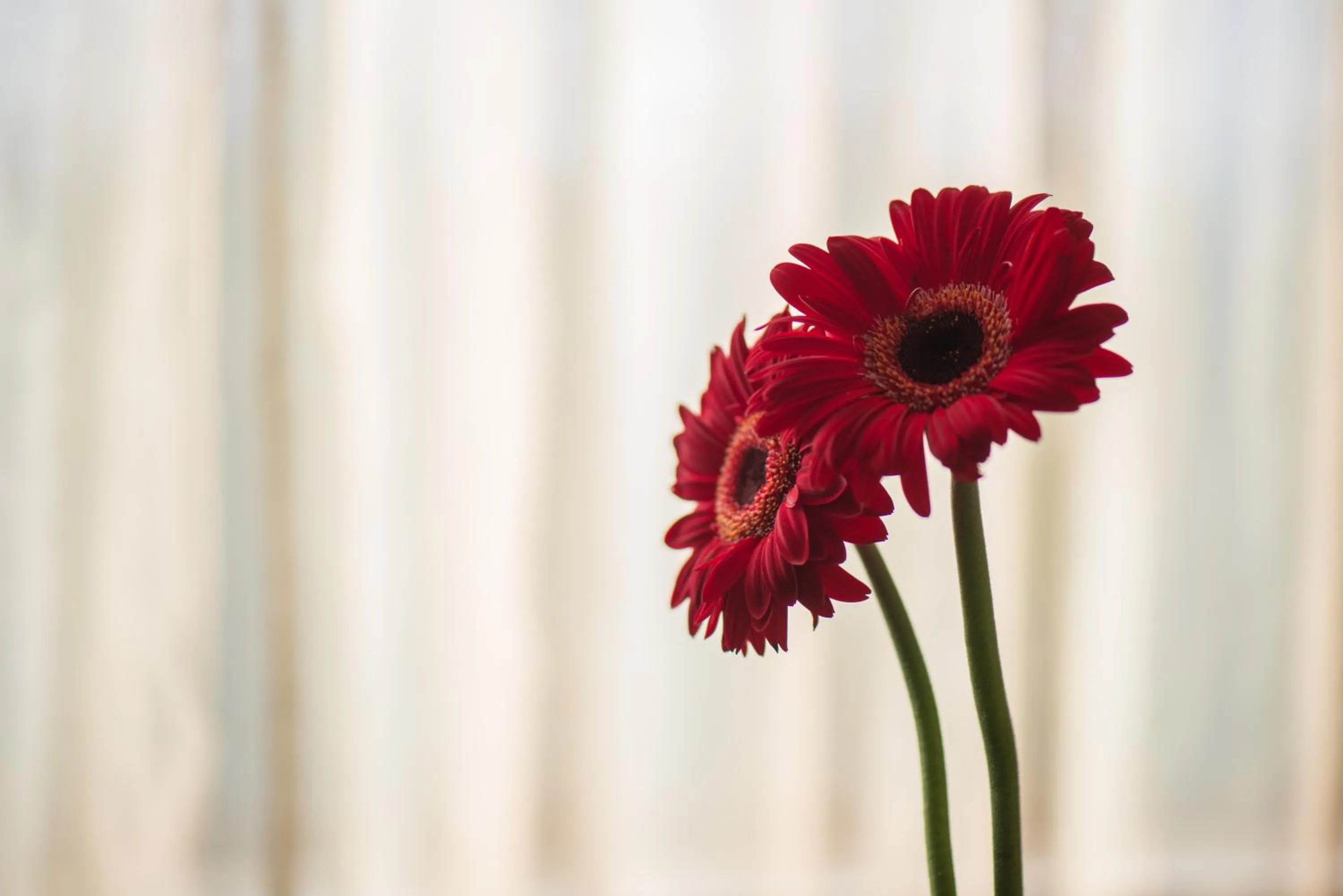 Decorative detail in Vivanta Colombo, Airport Garden