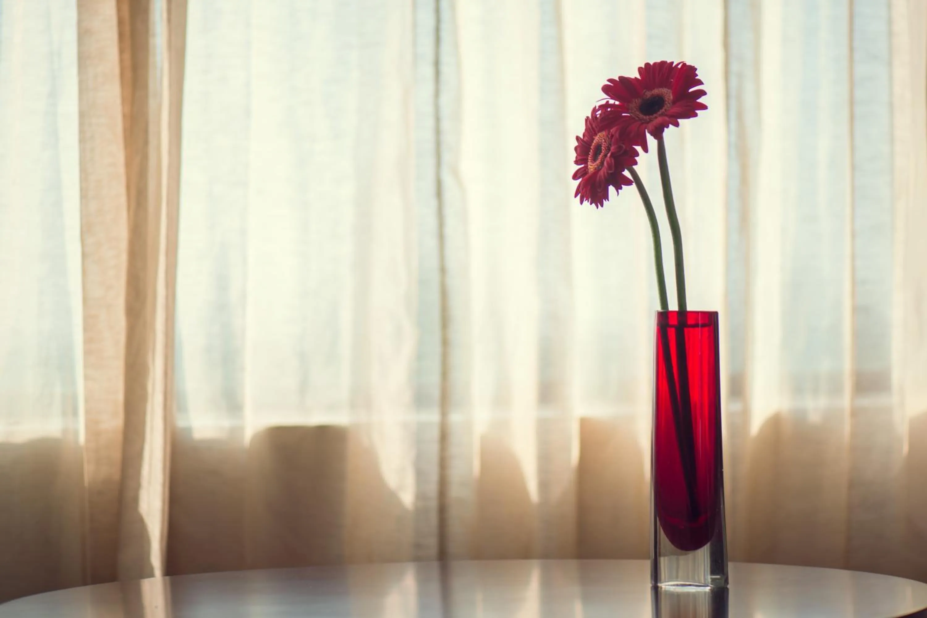 Decorative detail in Vivanta Colombo, Airport Garden
