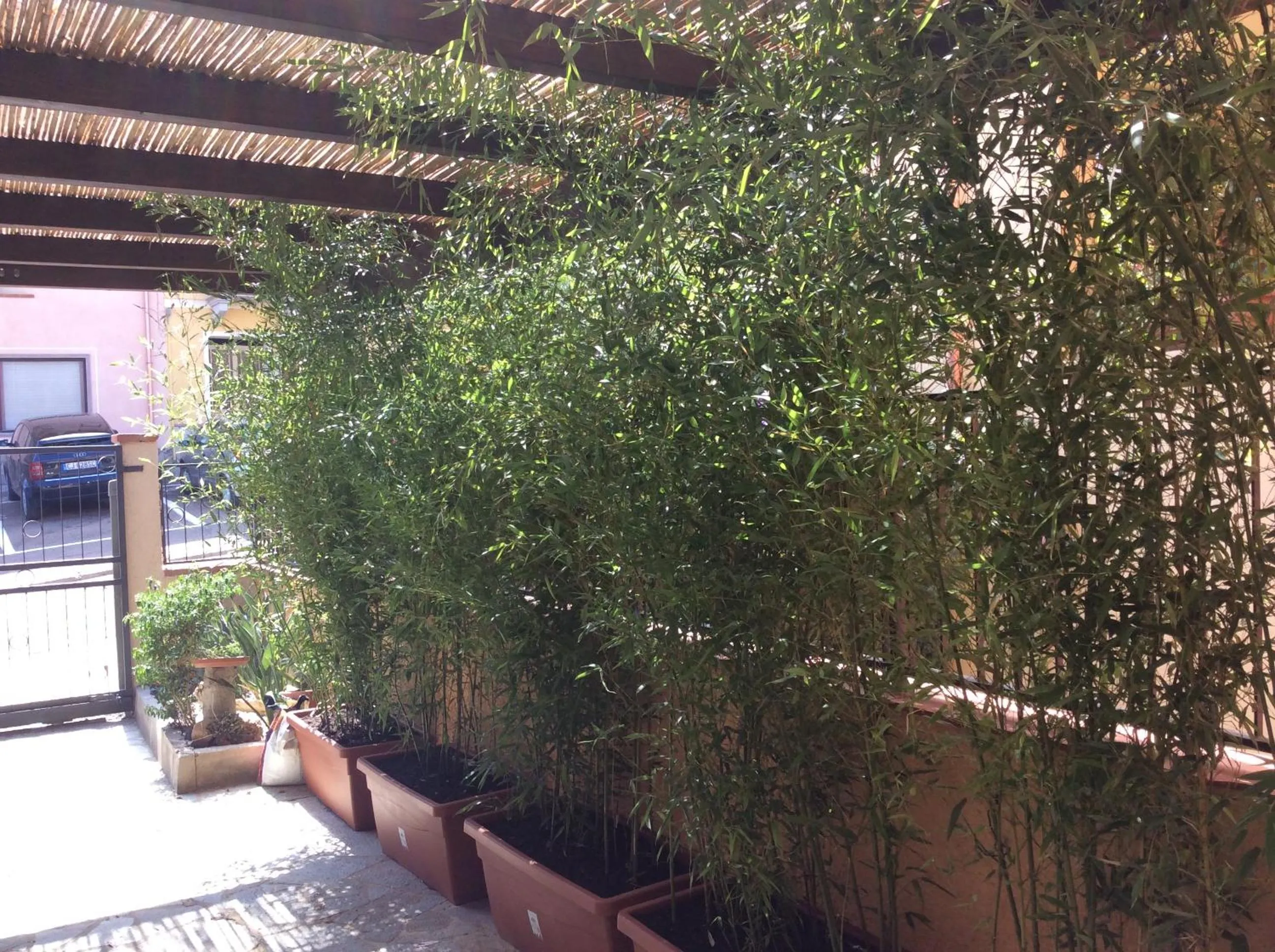 Property building in Casa Tacconi