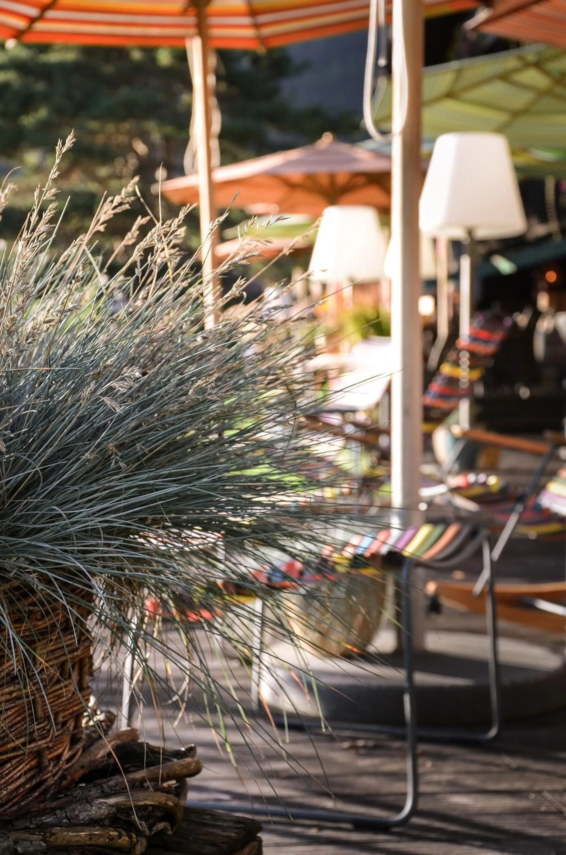 Balcony/Terrace in Hotel Ehrwalderhof