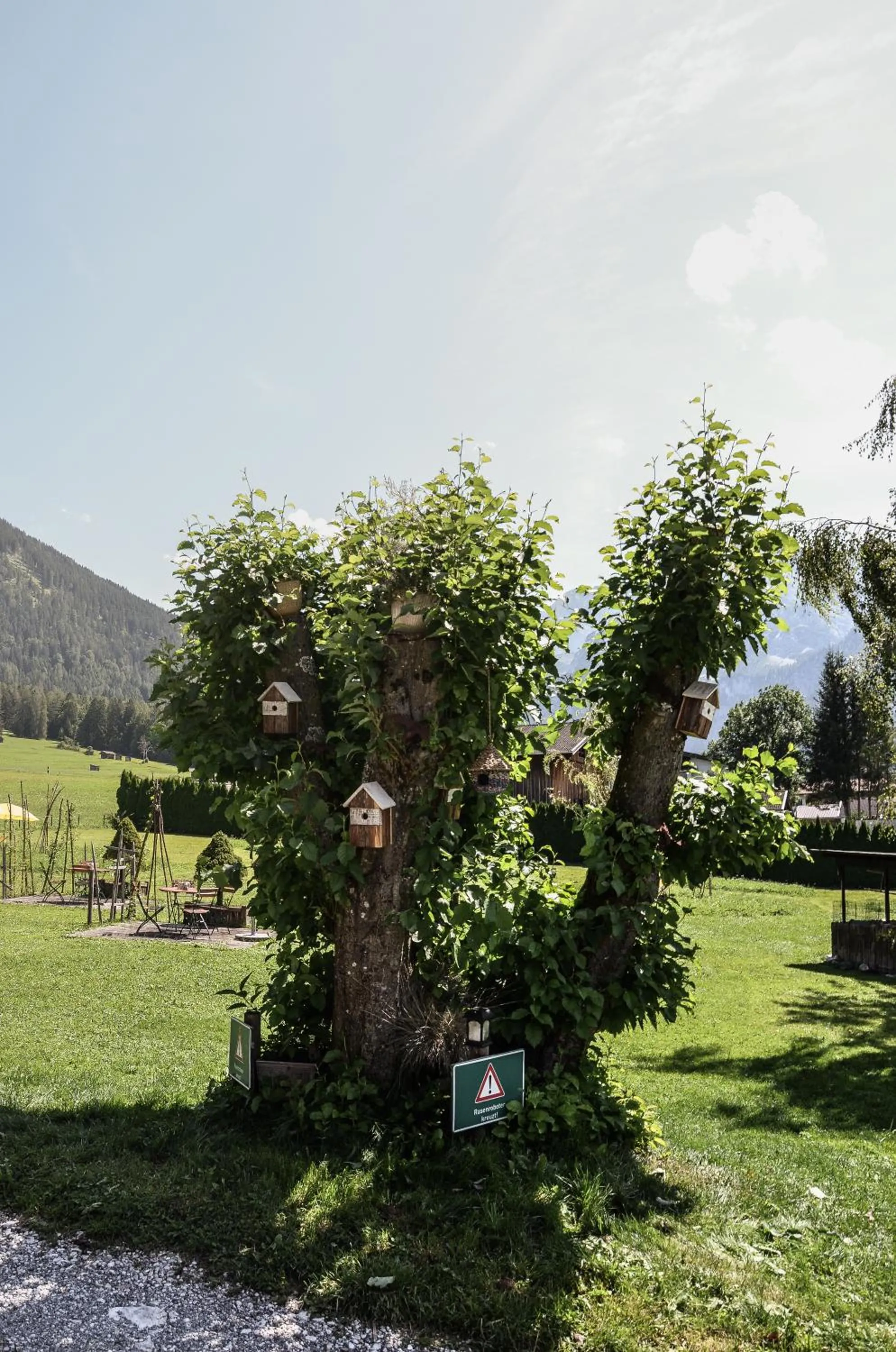 Garden in Hotel Ehrwalderhof