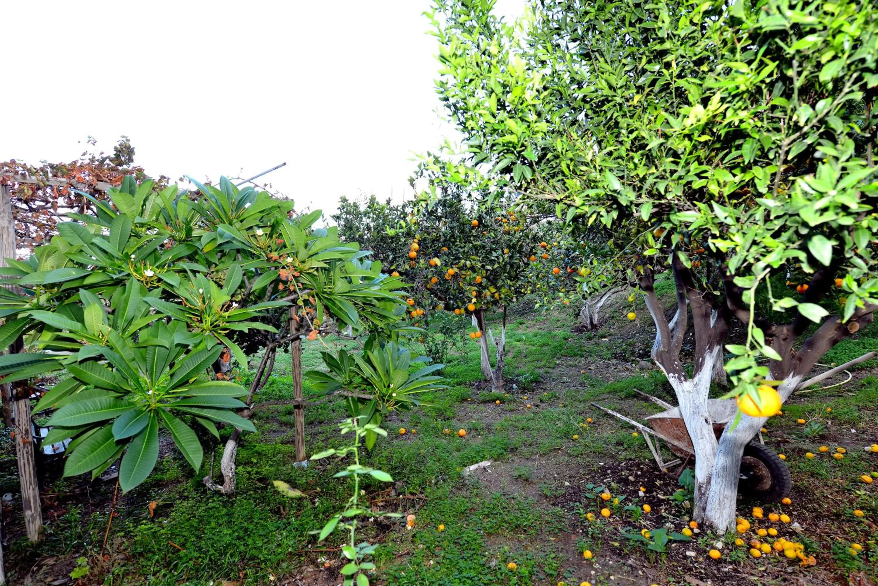 Day in Bikakis Family Apartments