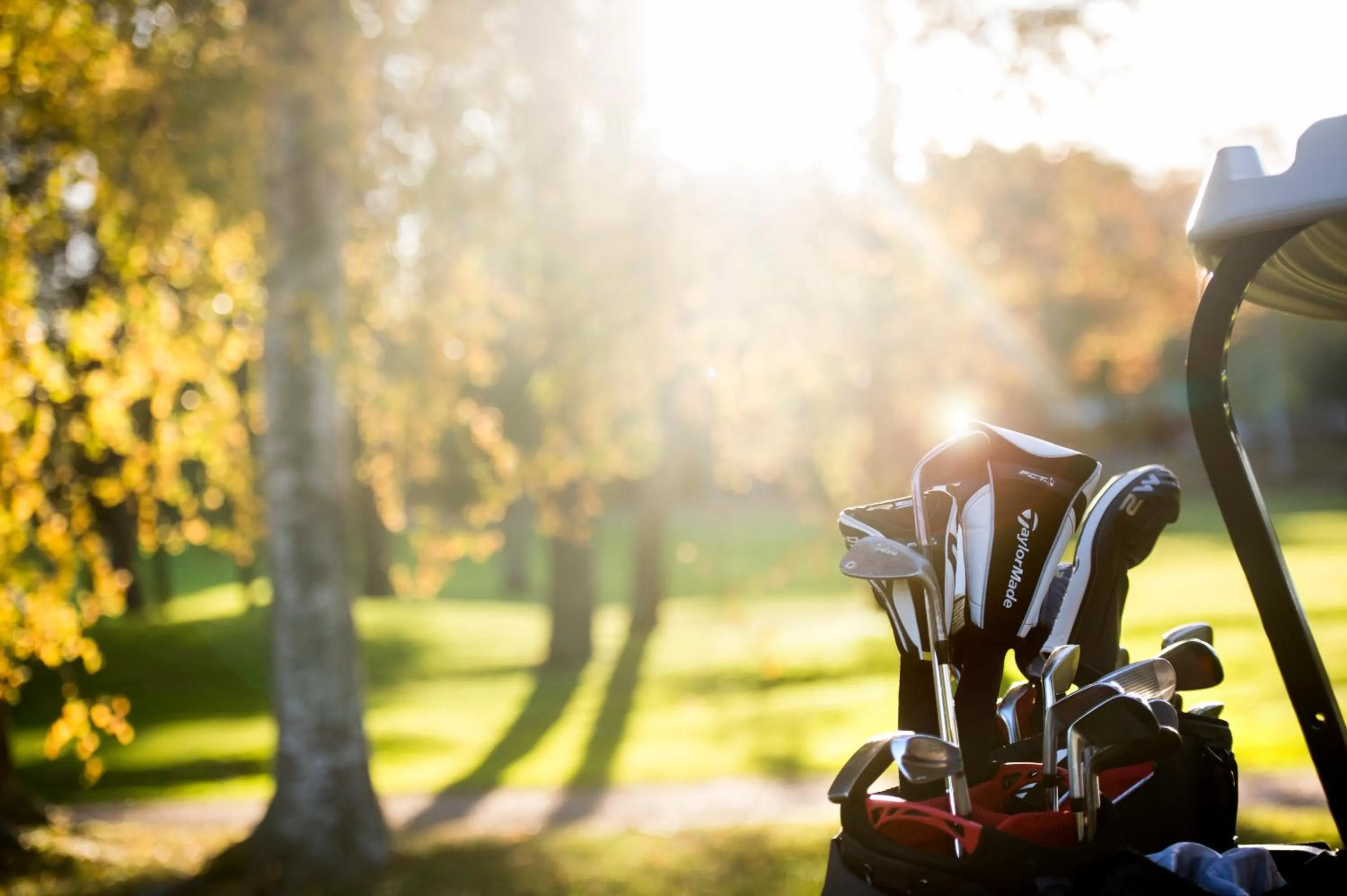 Golfcourse in Lannalodge