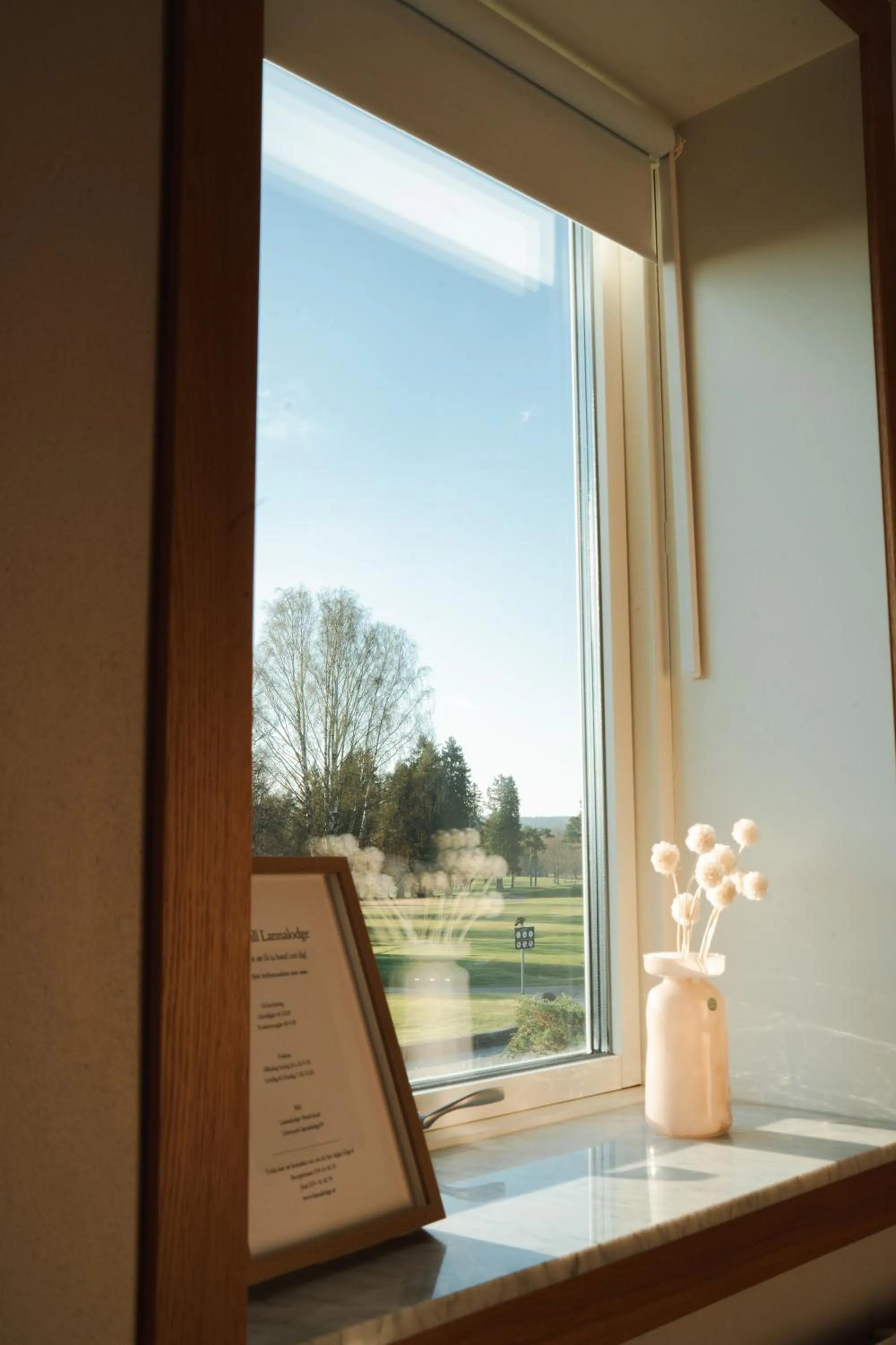 View (from property/room) in Lannalodge