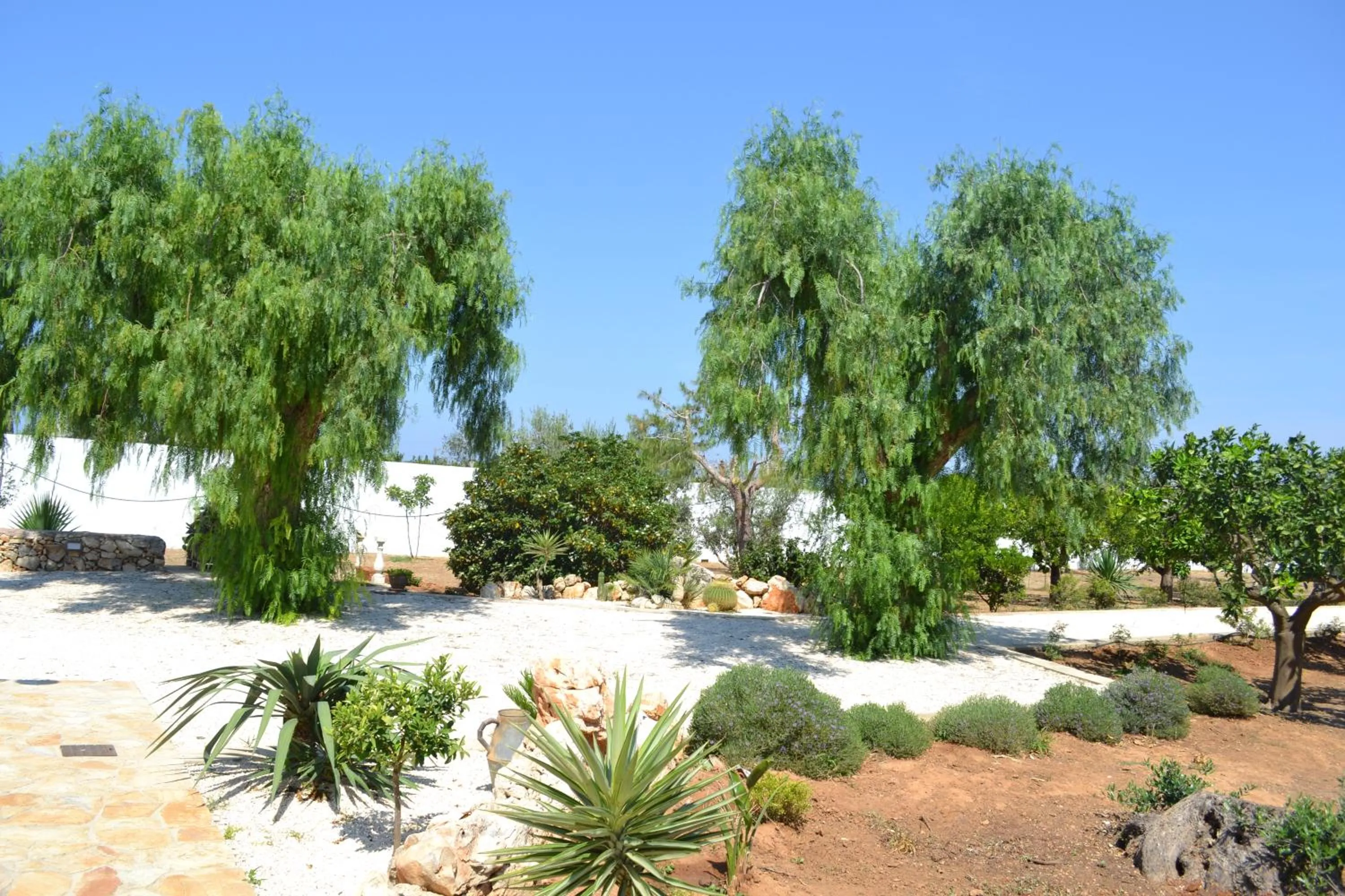 Garden in Tenuta Arate
