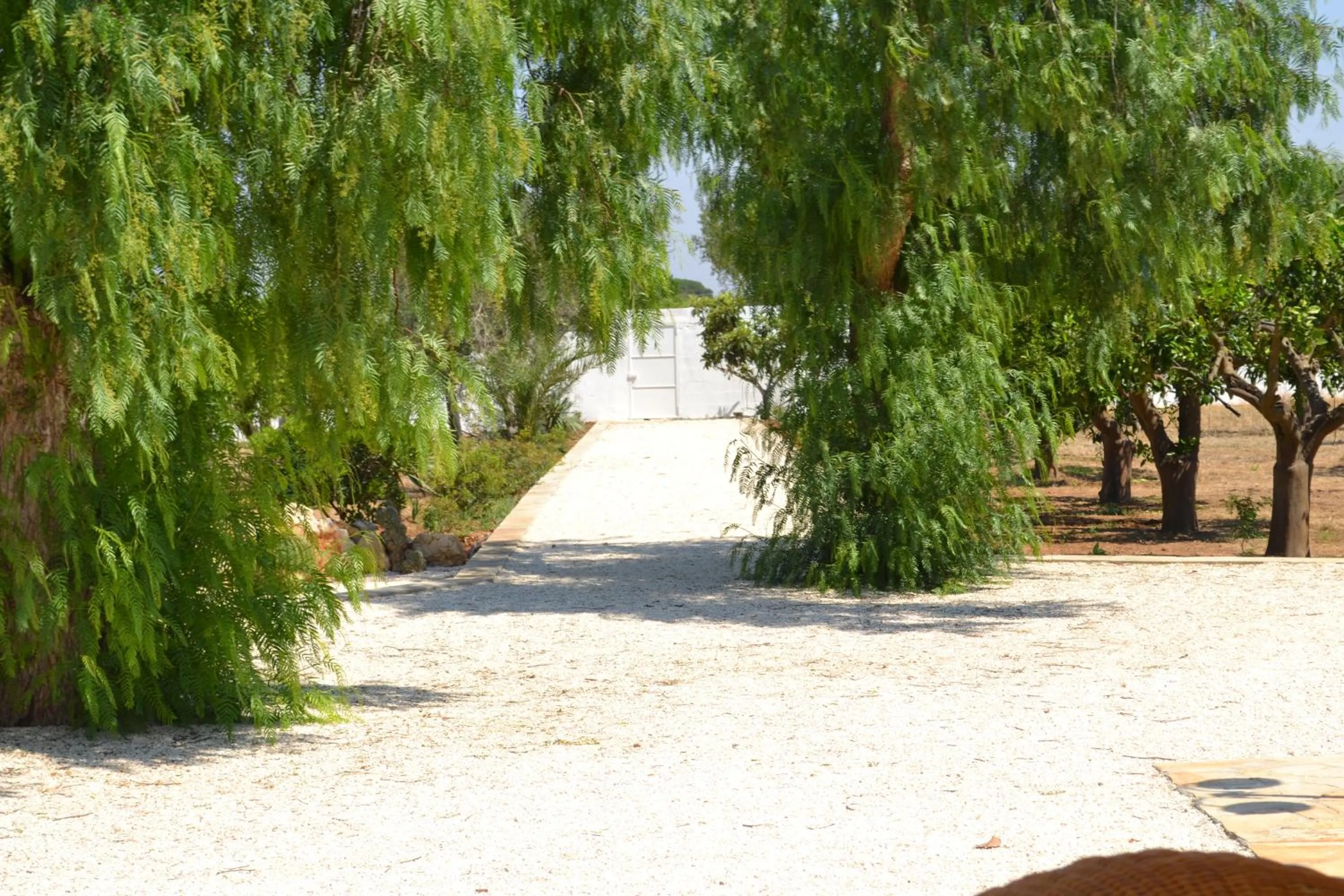 Garden in Tenuta Arate