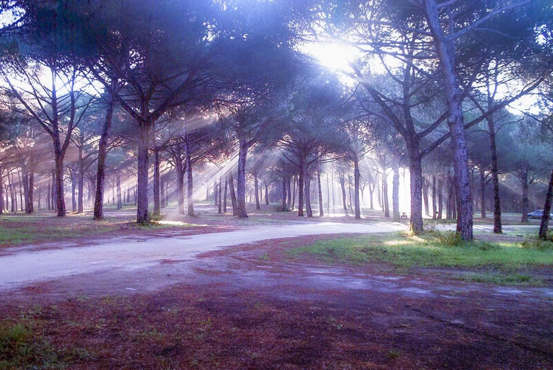 Natural landscape in Hotel Patricia