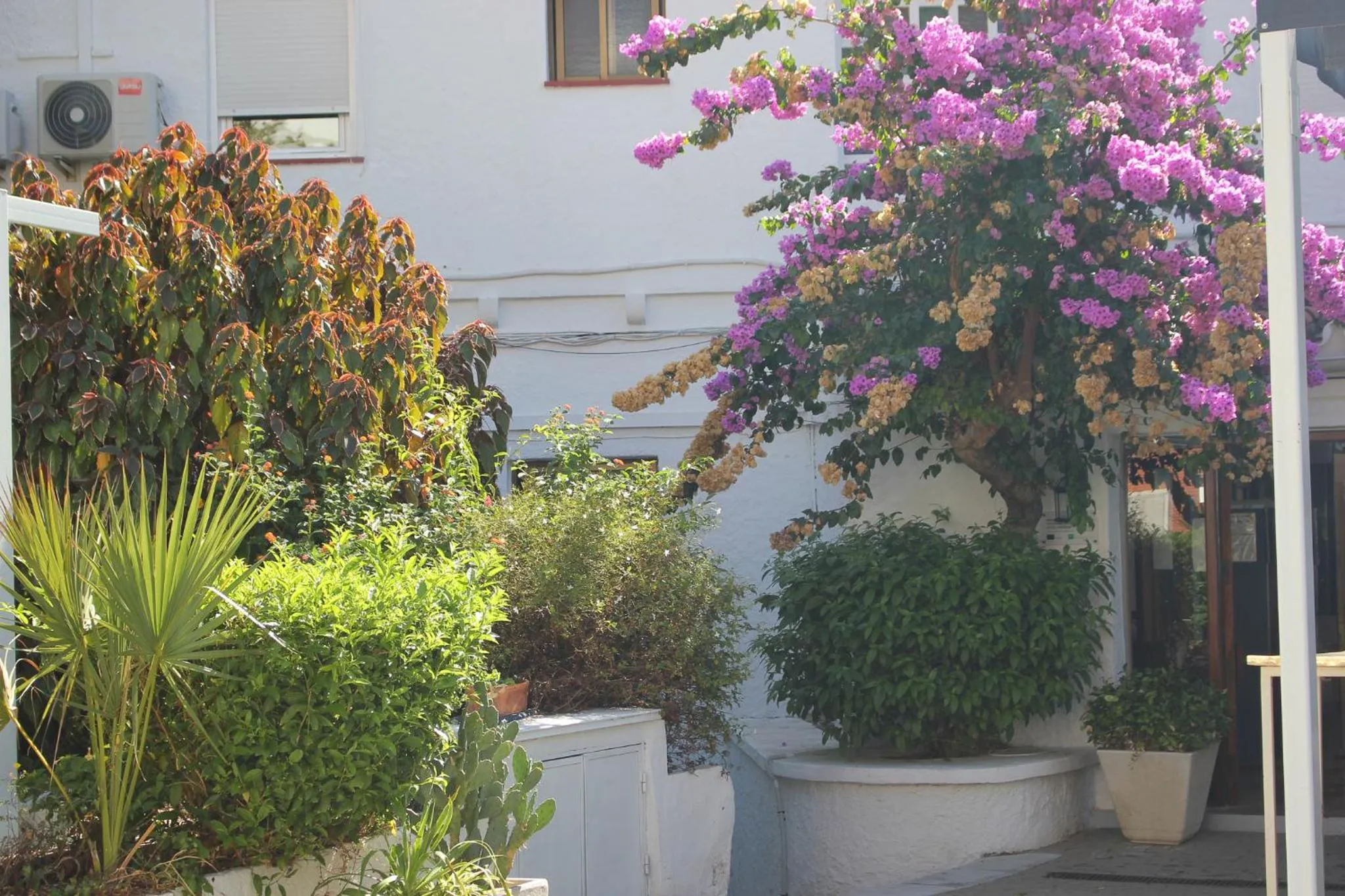 Facade/entrance in Hotel Patricia
