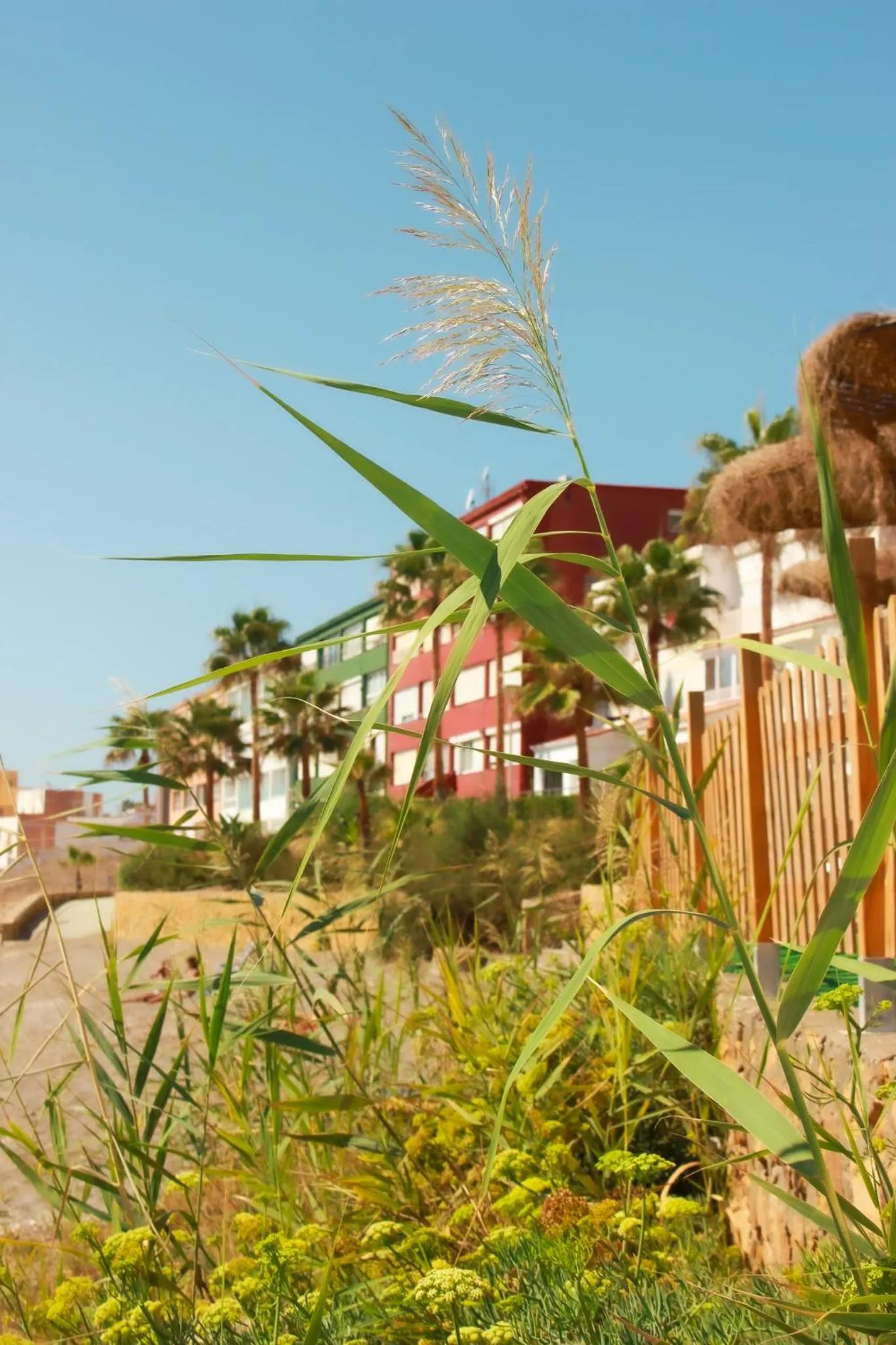 Other in Hotel Patricia