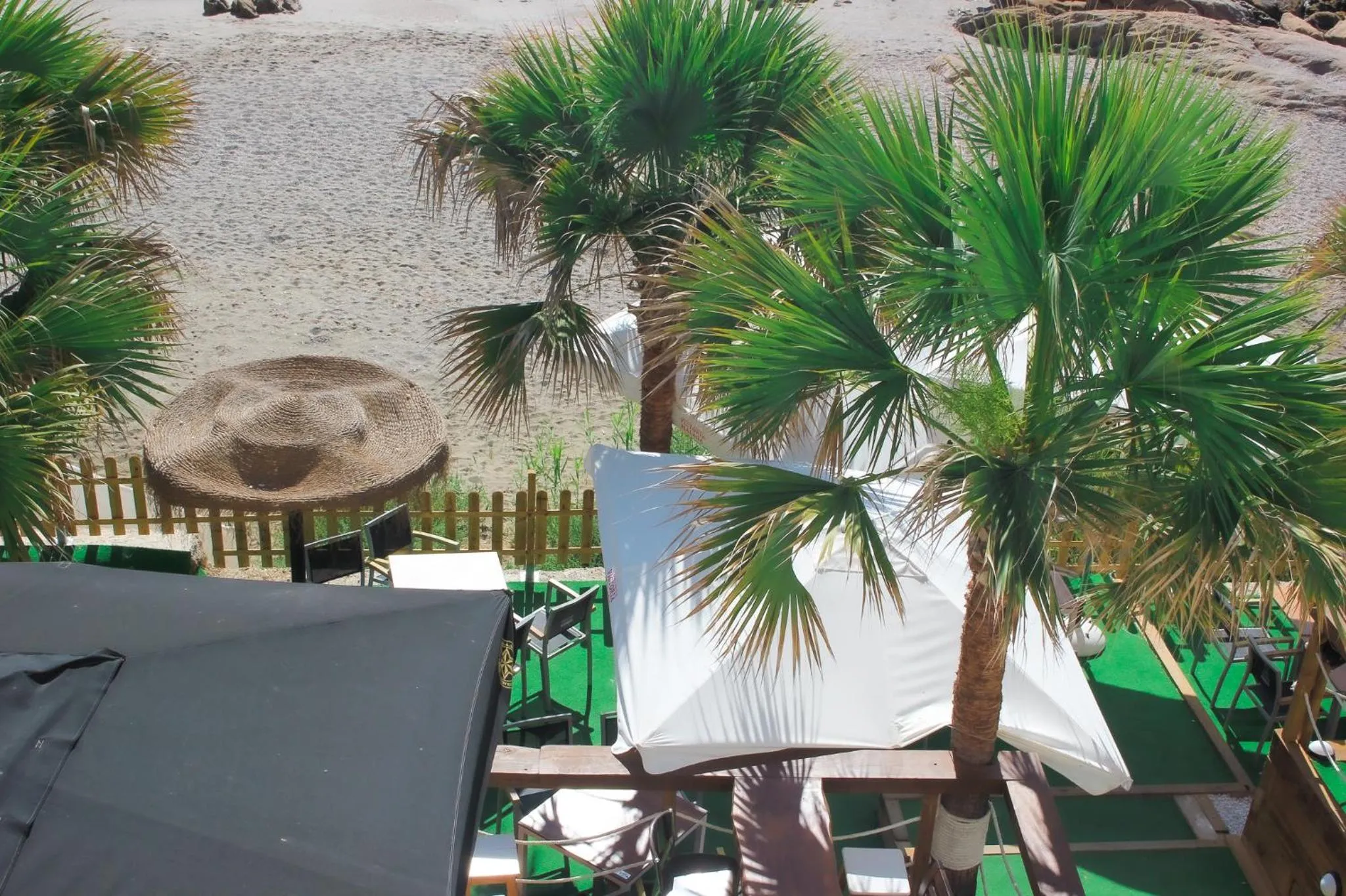 Lounge or bar in Hotel Patricia