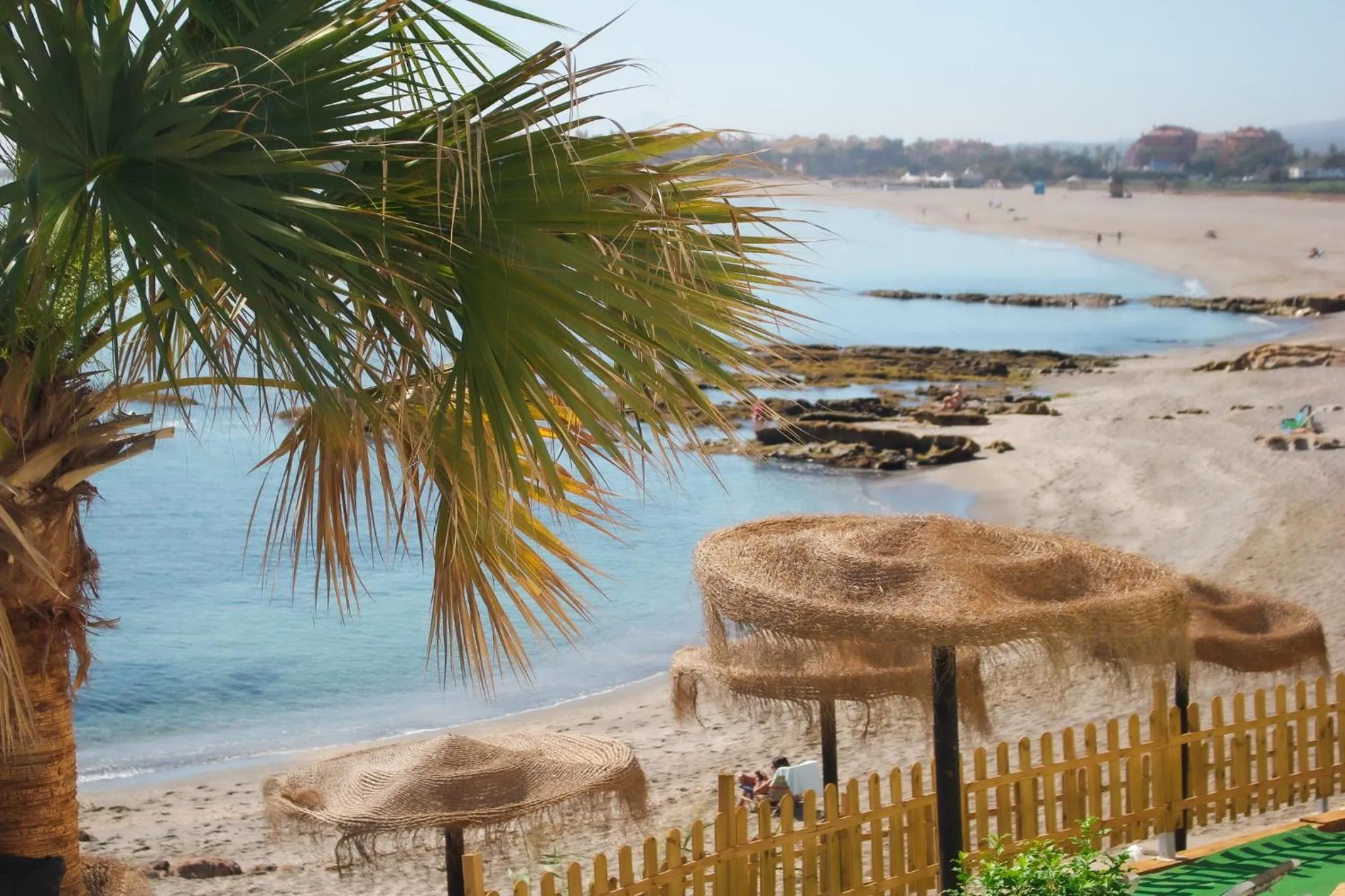 Lounge or bar in Hotel Patricia